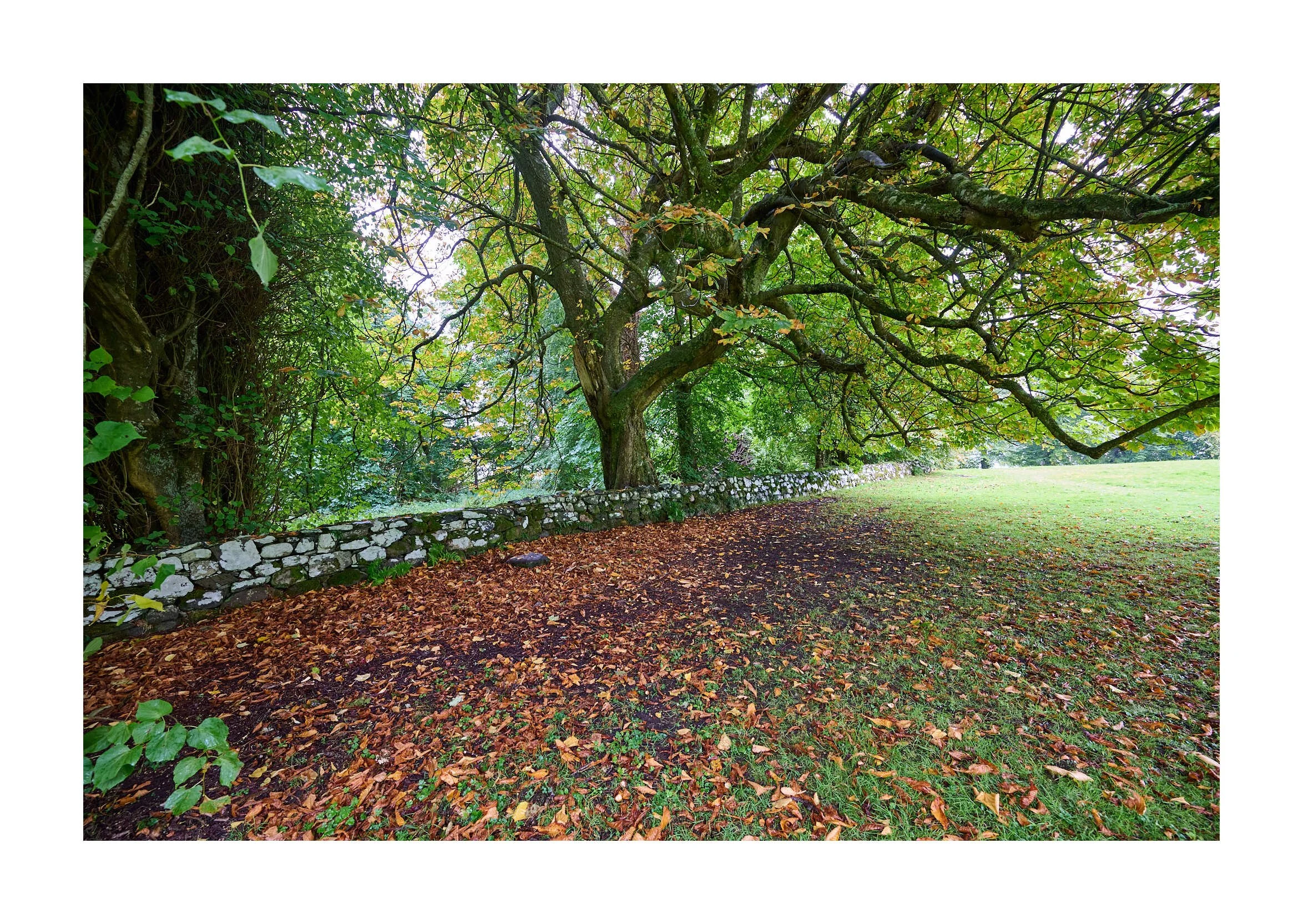 23-09-17 - Dunstaffage Castle 54.jpg