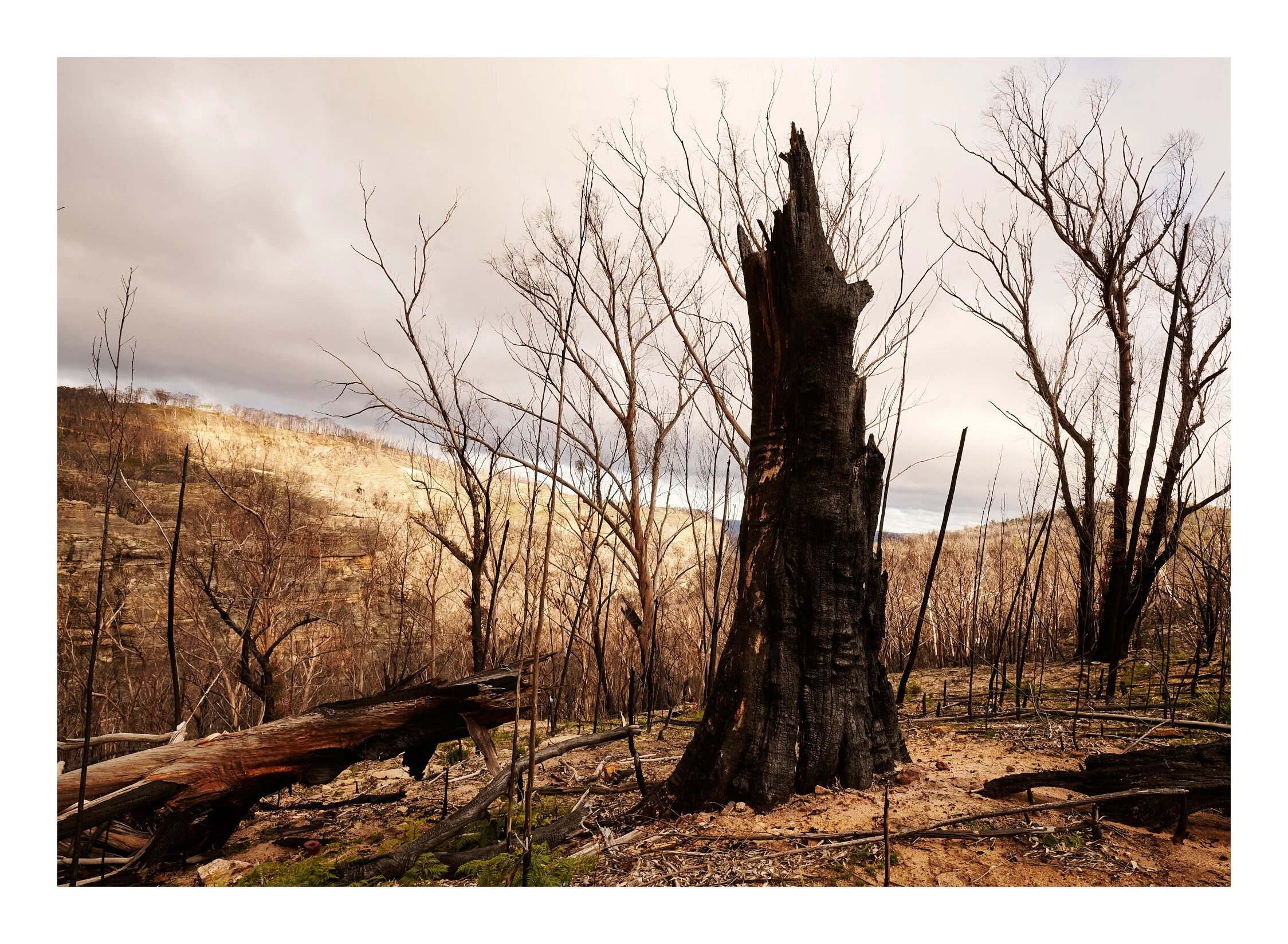The Destruction Lithgow NSW.jpg
