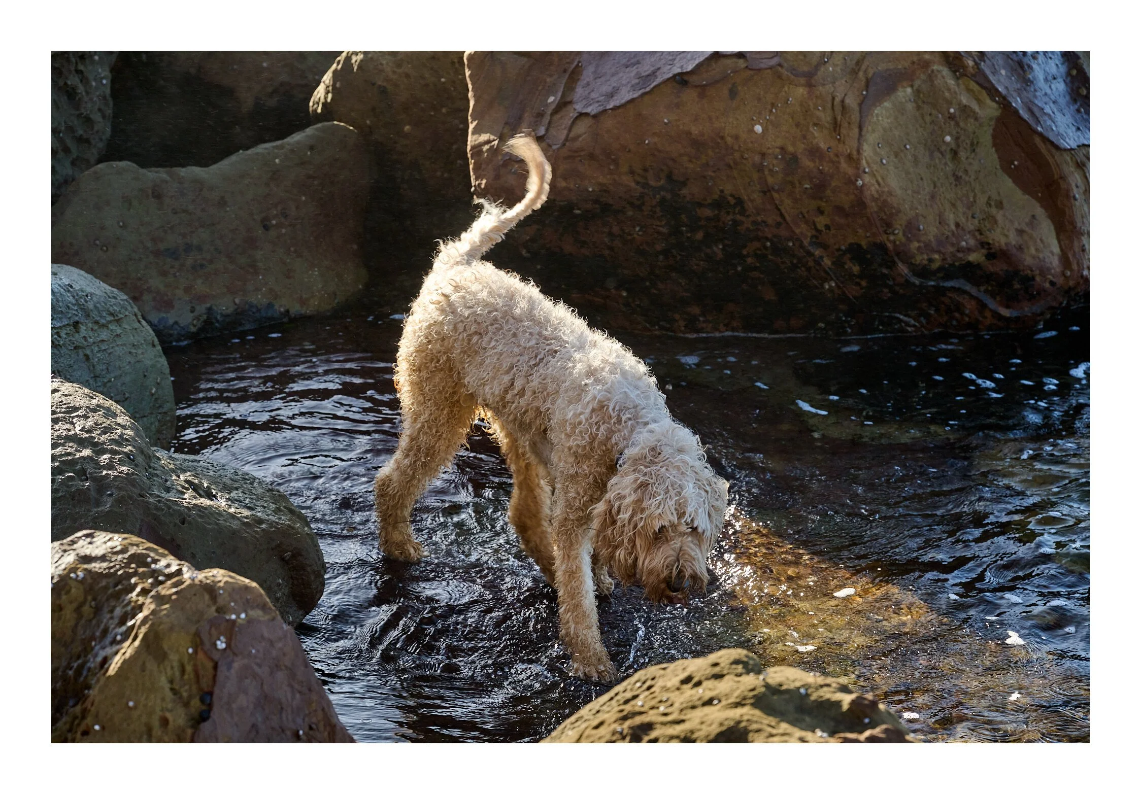 MacMasters Beach July 2023 - 083.jpg