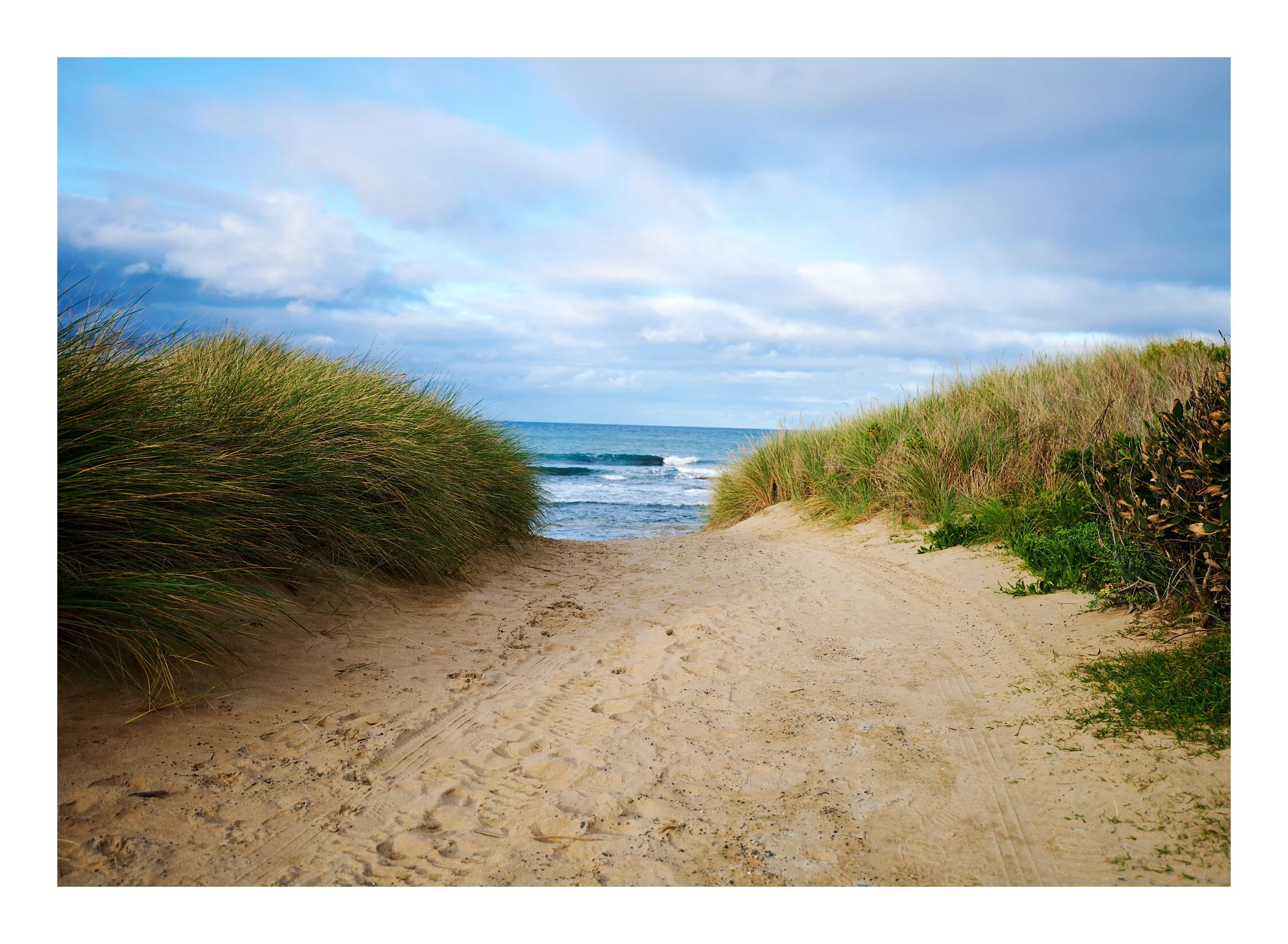 Apollo Bay Victoria.jpg
