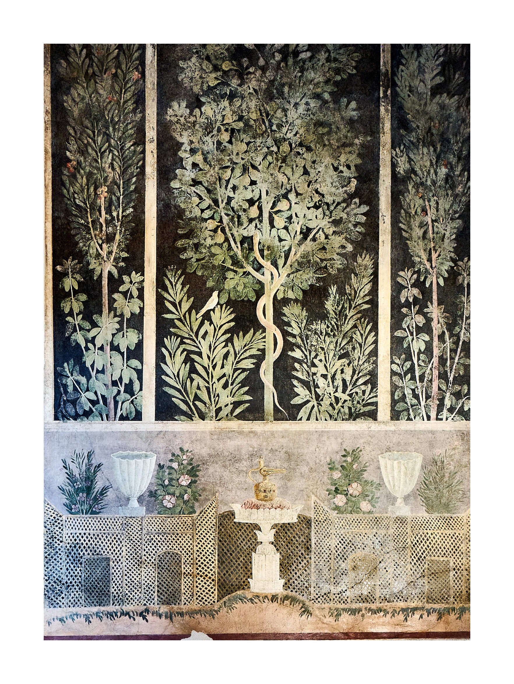 23-11-27 - Naples Pompeii 59.jpg