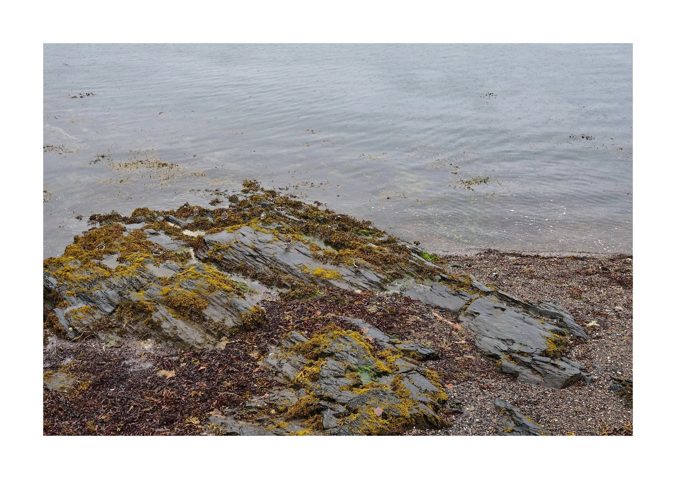 23-09-17 - Oban 59.jpg