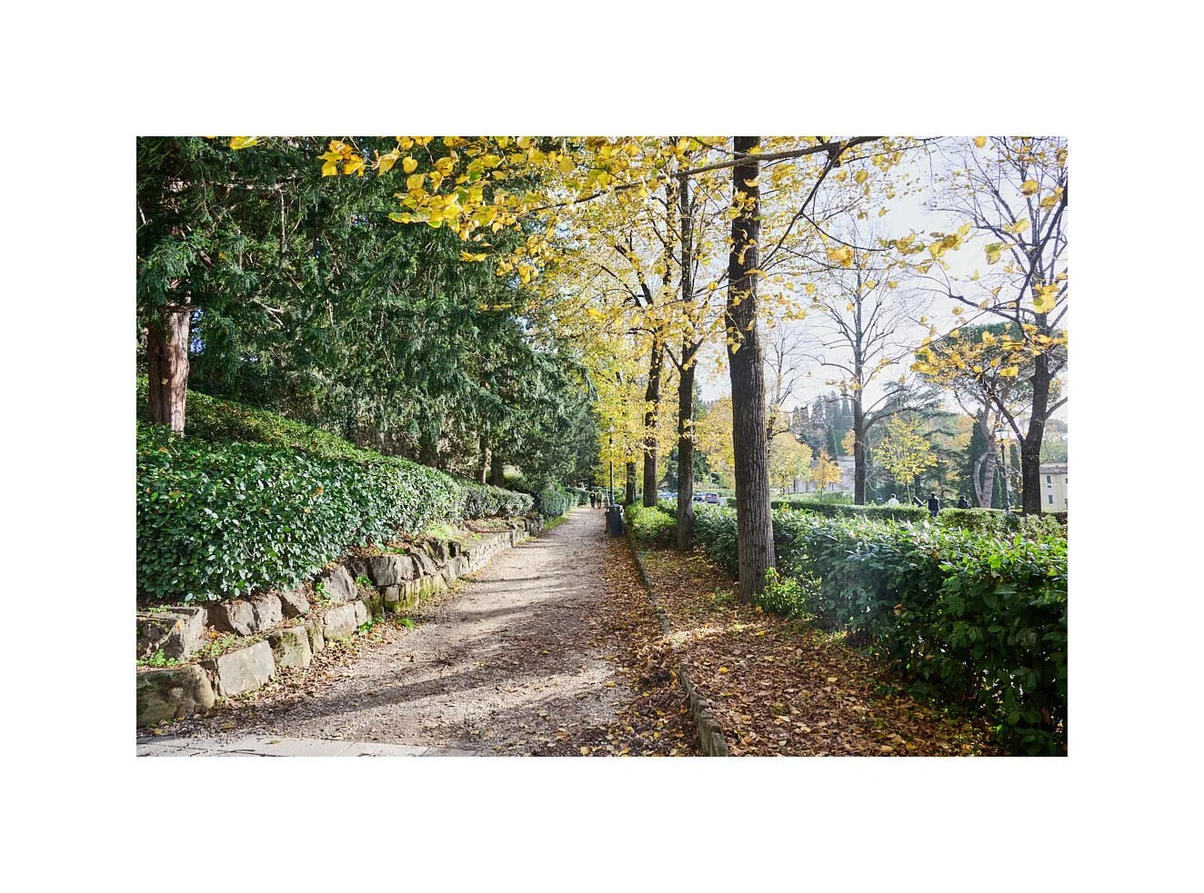 23-11-17 - Florence2 38.jpg