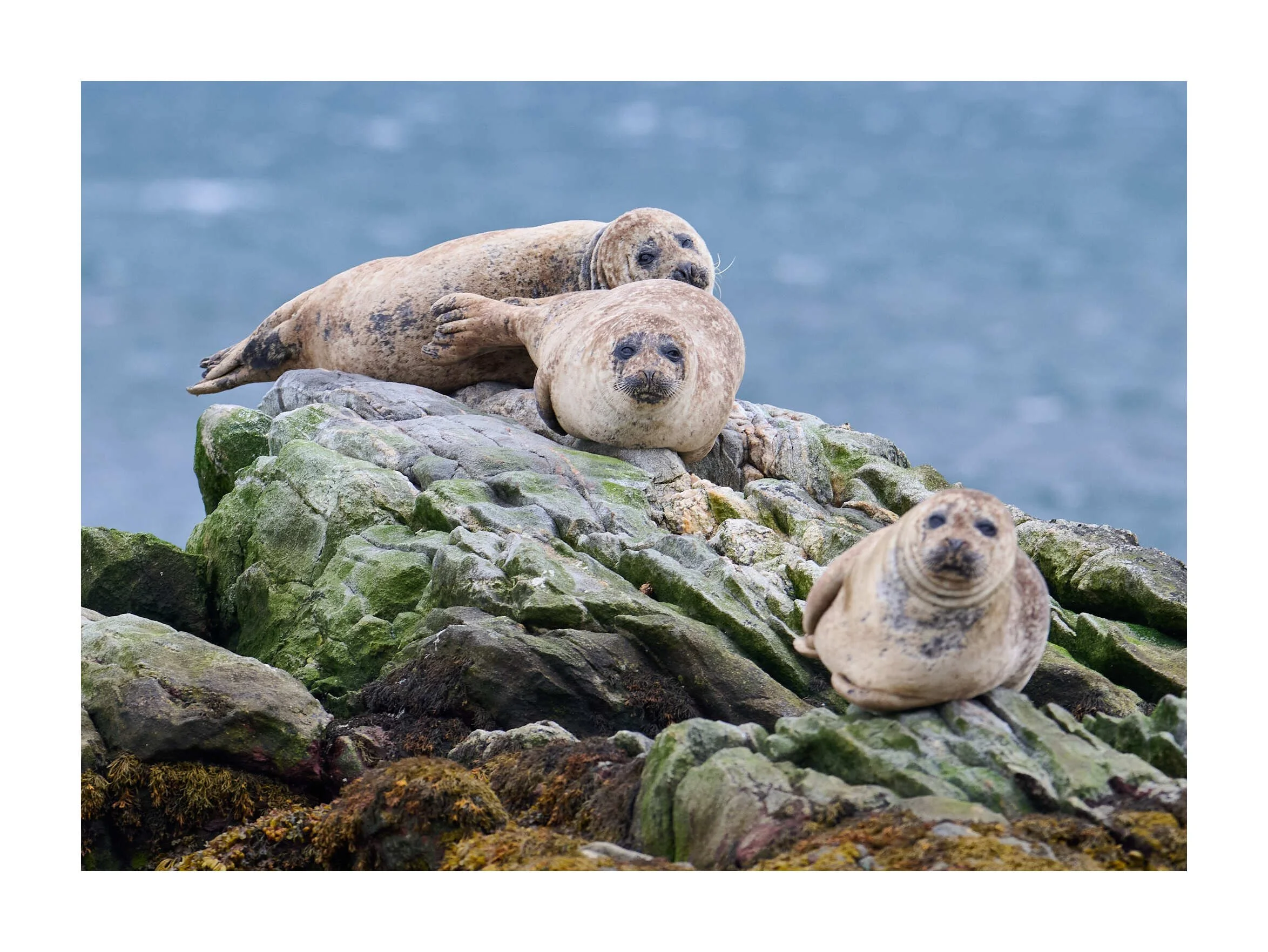 23-09-13 - Berneray North Uist 19.jpg