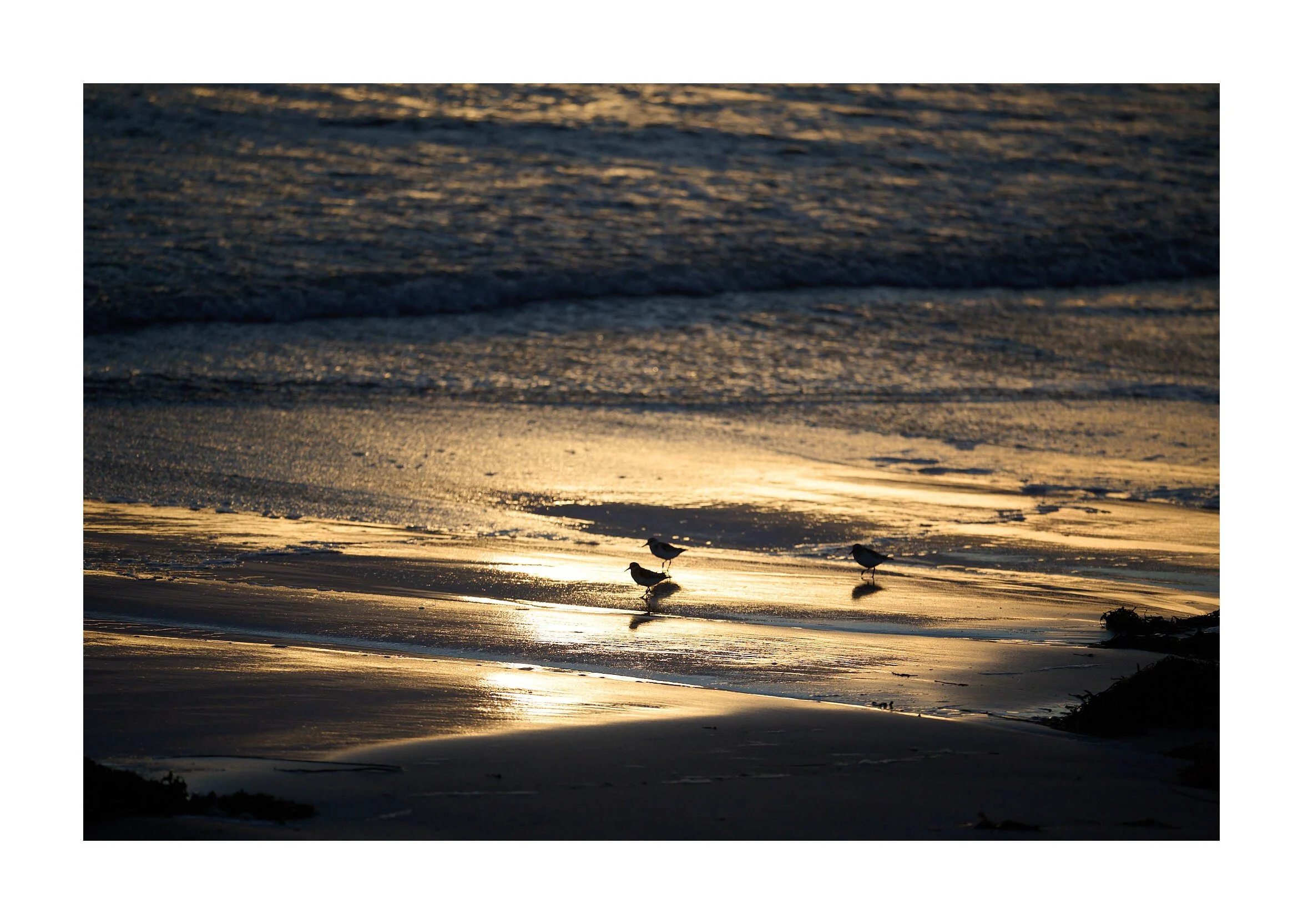 23-09-14 - North Uist Baleshare Beach 33 1.jpg