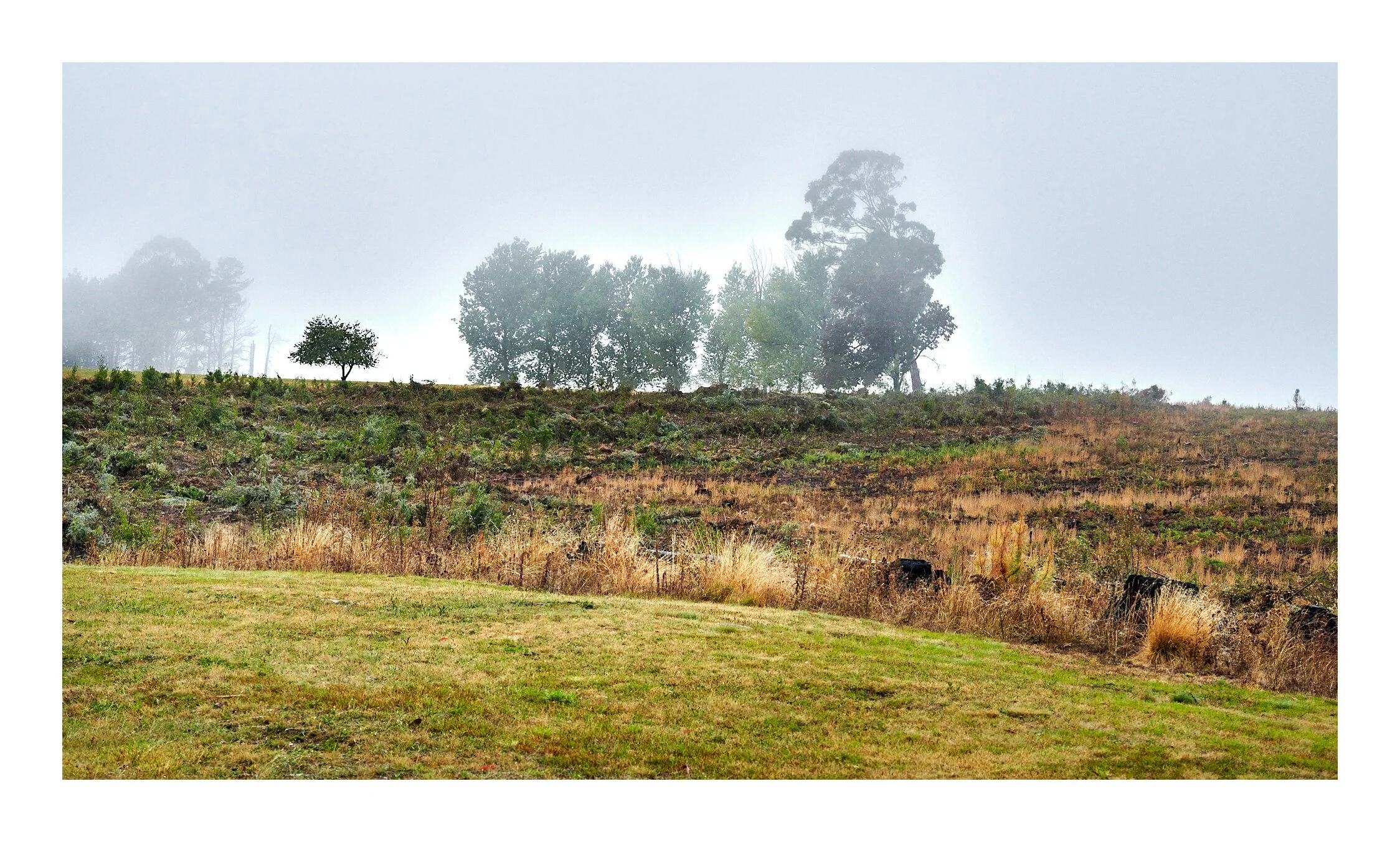Tumbarumba Mar 29 2023 1456.jpg