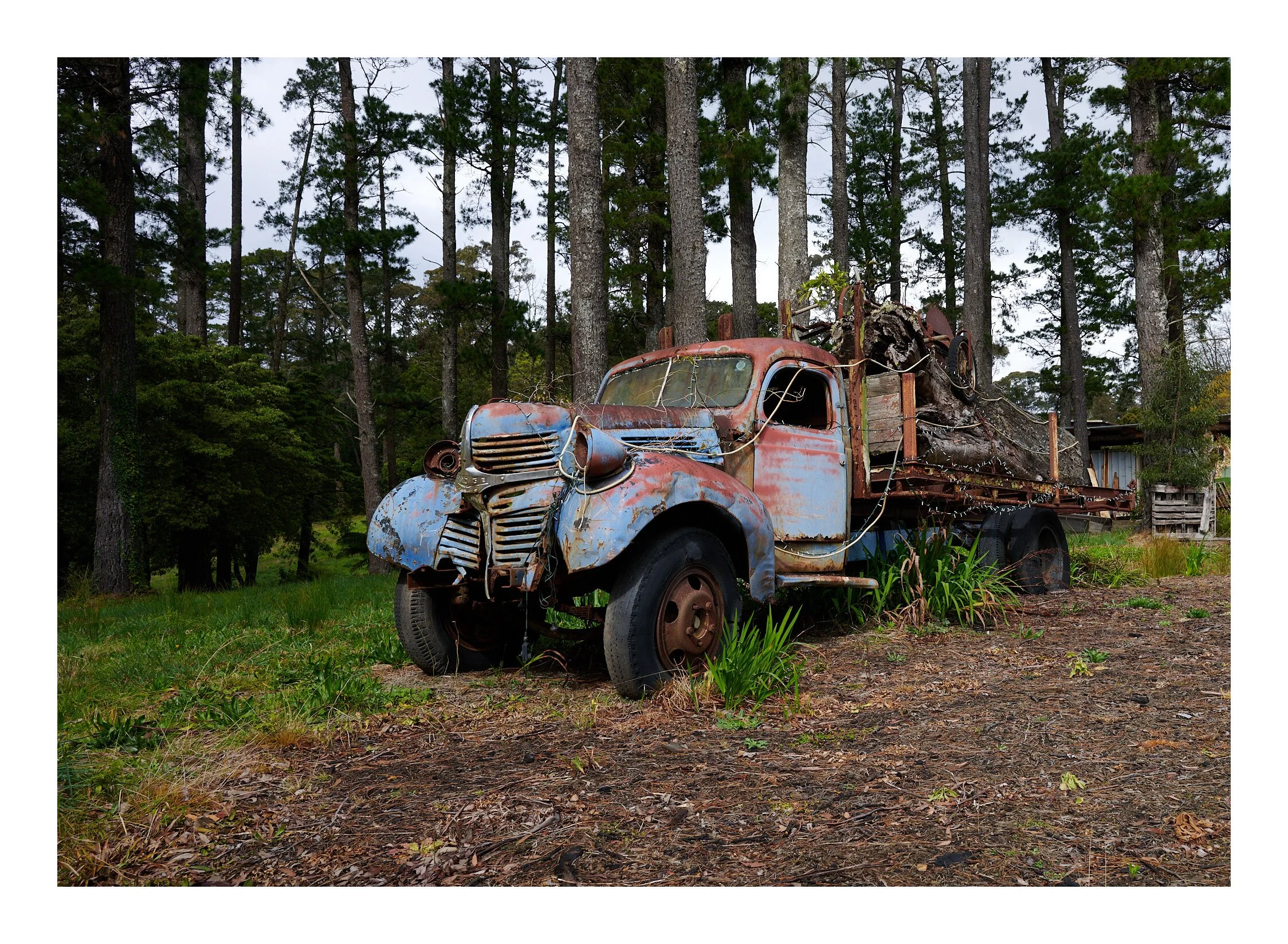 Timber Truck Bilpin NSW.jpg