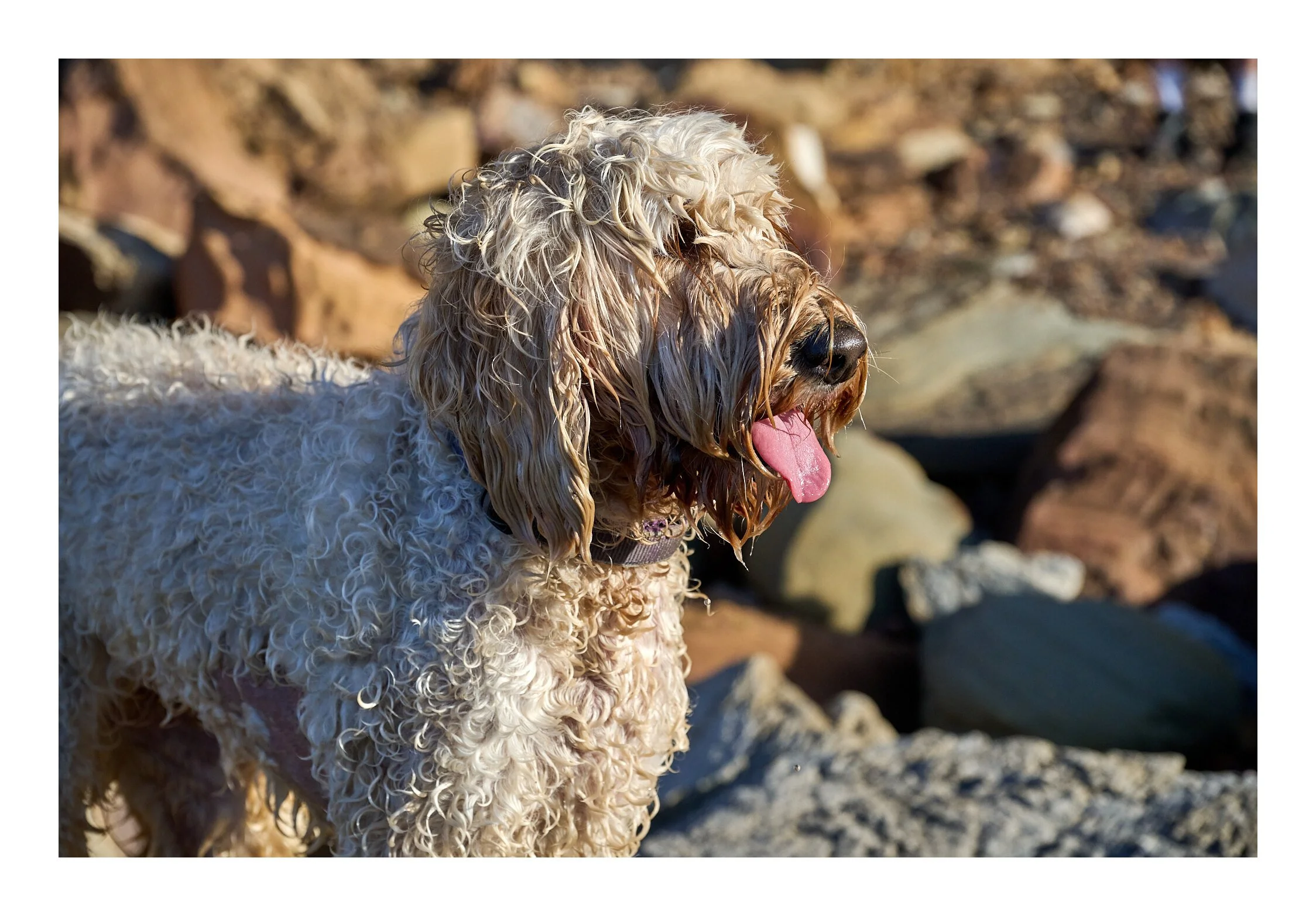 MacMasters Beach July 2023 - 087.jpg