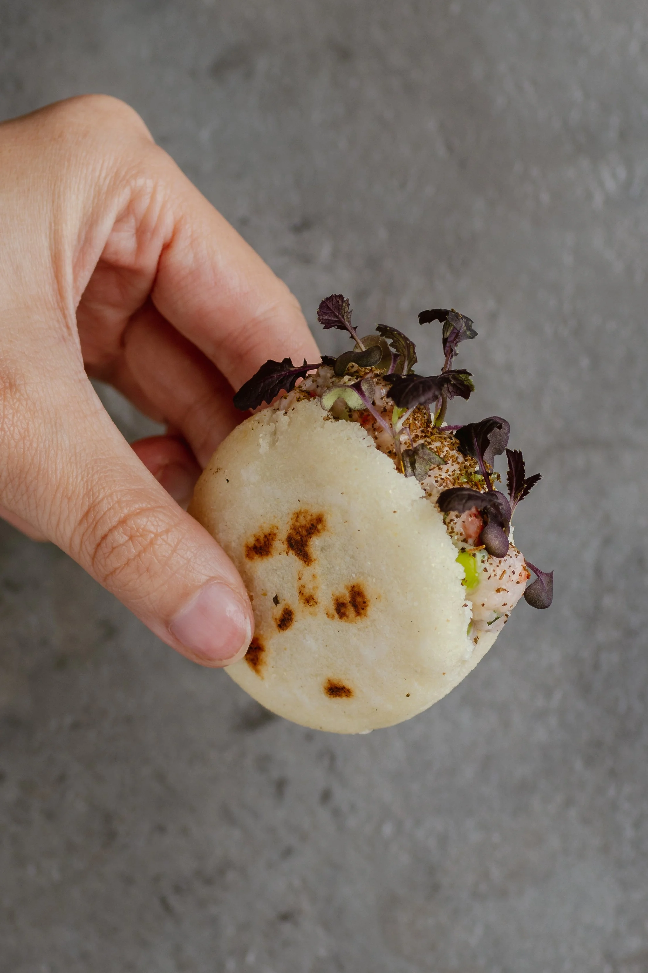 MONO- Arepa.jpg