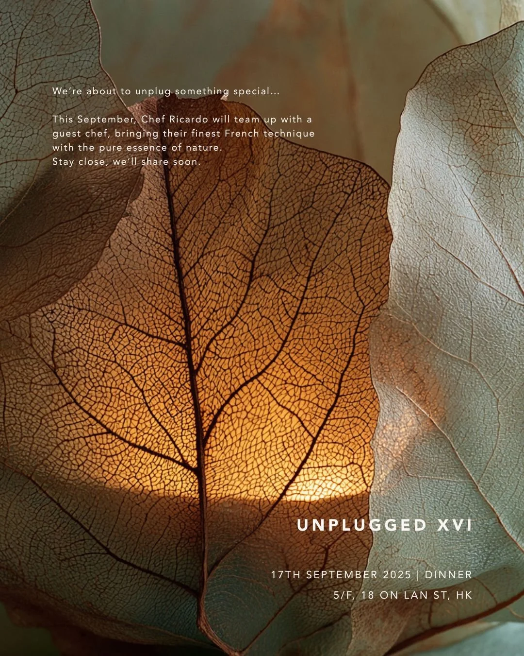 Midway through September, the MONO Unplugged series continues its inspired journey. For our 16th edition, we are honoured to present a special four-hands collaboration with a talented guest chef. They&rsquo;ll craft harmonious flavours that showcase 
