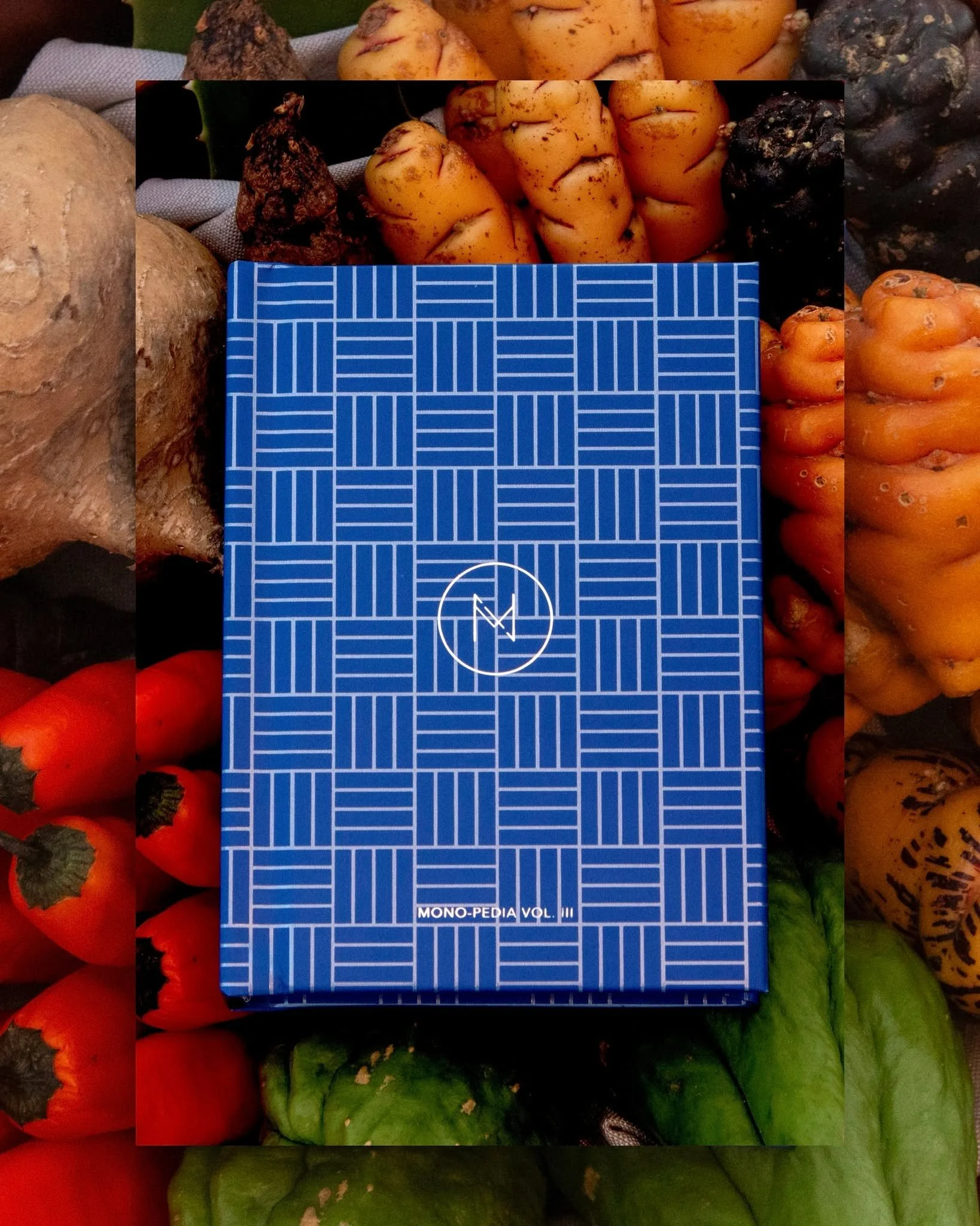 The first batch of our MONOpedia Vol. III sold out in the blink of an eye! A heartfelt thank you for your support and for embracing the Latin American flavours that define MONO.

Due to popular demand, we&rsquo;re excited to announce that a new resto