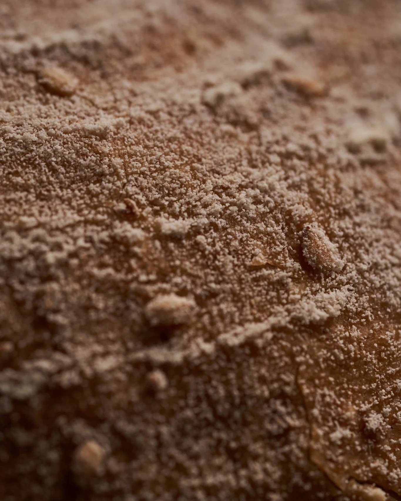 Mirco shot of our homemade sourdough.

我們自家製酸種麵包的特寫。

#MONOhkg #JIAgroup