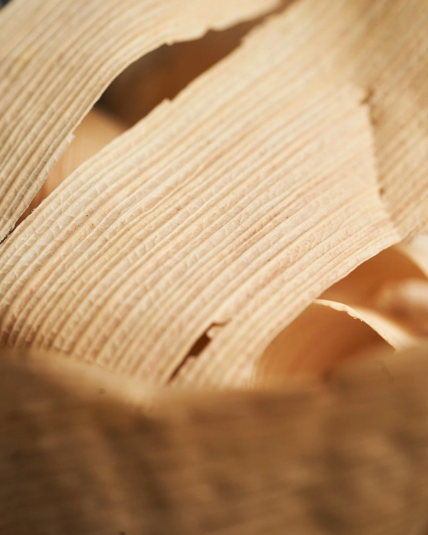 Micro shot of corn husk.

玉米皮的特寫。

#MONOhkg #JIAgroup