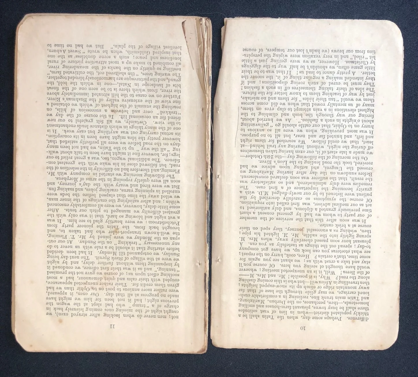 A Visit to the South African Gold Fields (1870) 5.jpeg