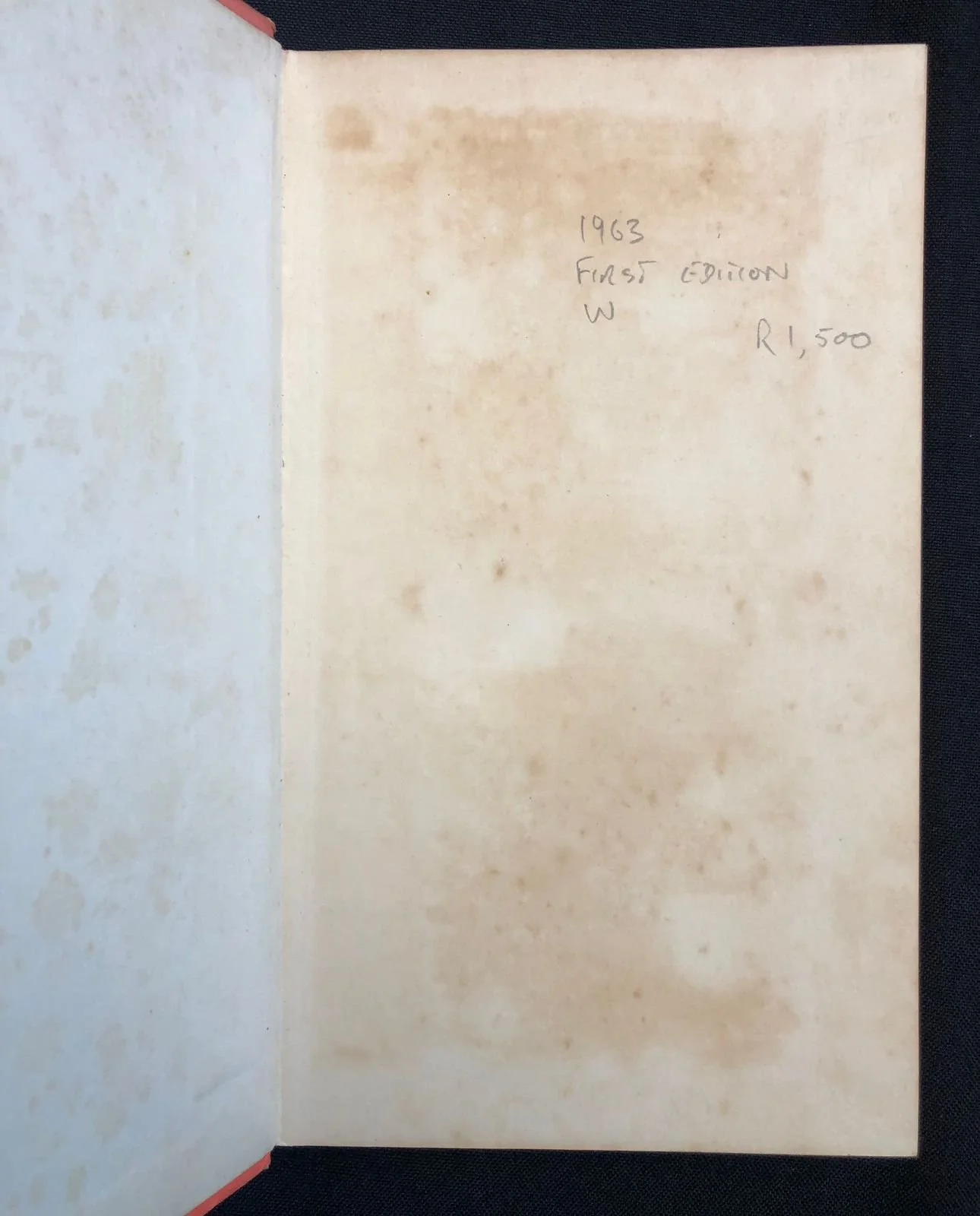 The Blood Knot 3 .jpg