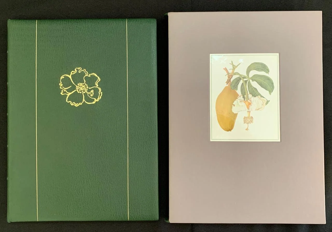 South African Botanical Art by Marion Arnold 3.jpeg