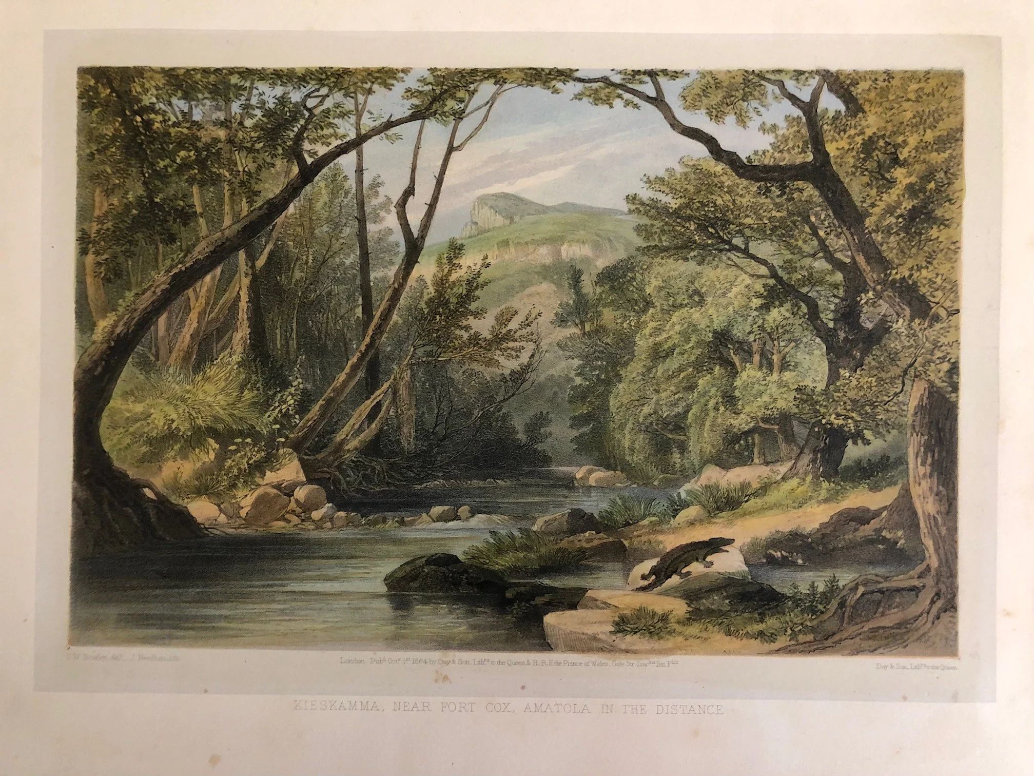 Four Hand Coloured Lithographs after Thomas William Bowler (1865)