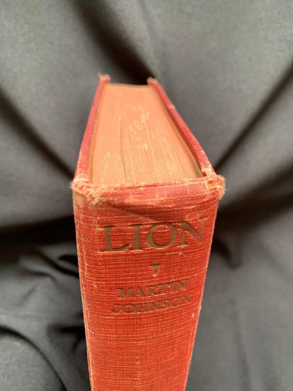 Lion (1929) 3.jpeg