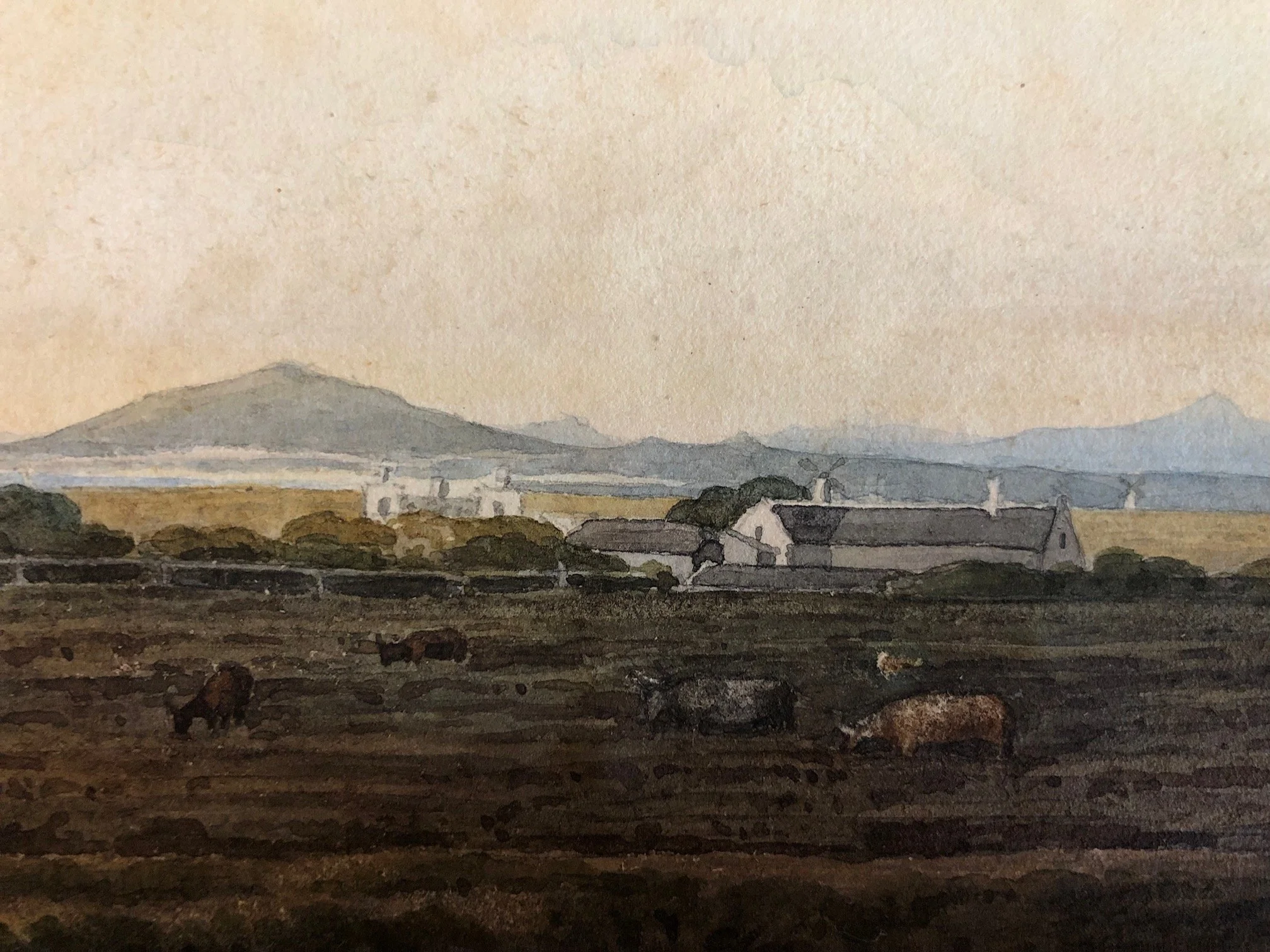 Watercolour View from the Camp Ground, Cape (1842) 