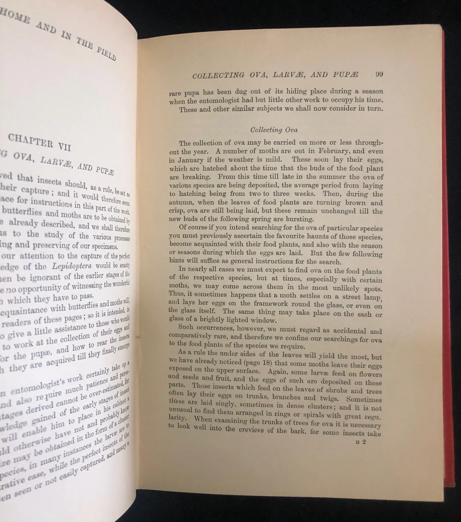 British Butterflies and Moths (1907)