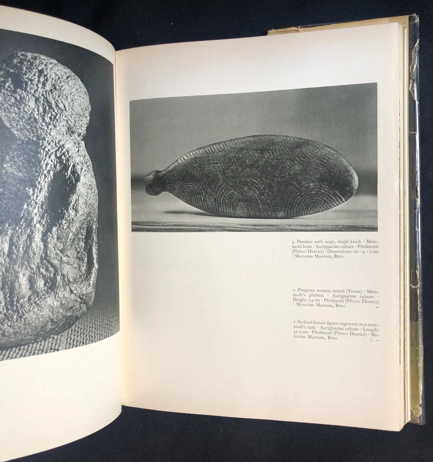 Prehistoric Art 7.jpg