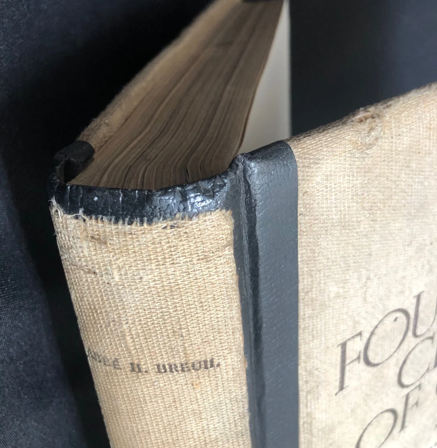 Four Hundred Centuries of Cave Art 2.jpg