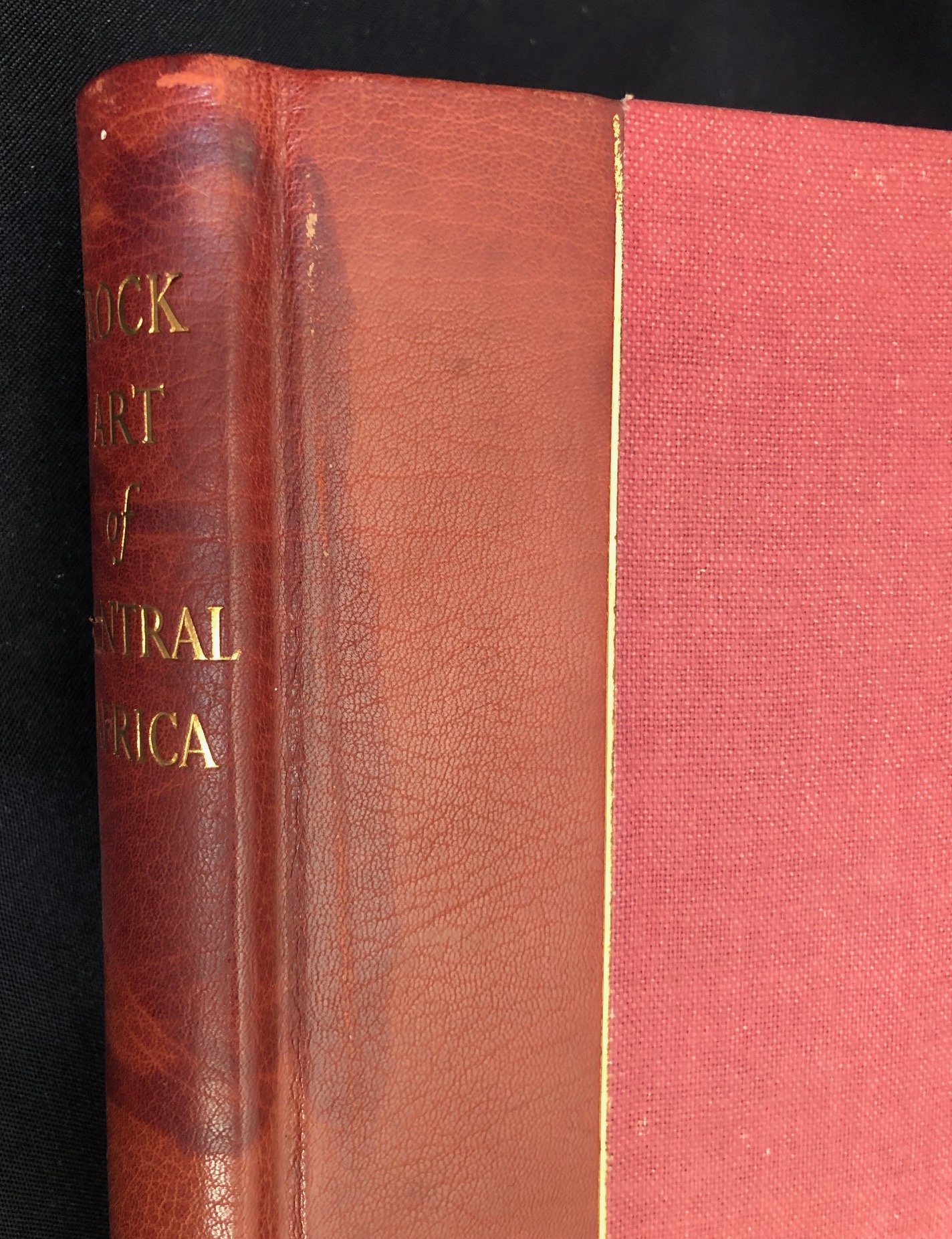 Prehistoric Rock Art de luxe edition 2.jpg