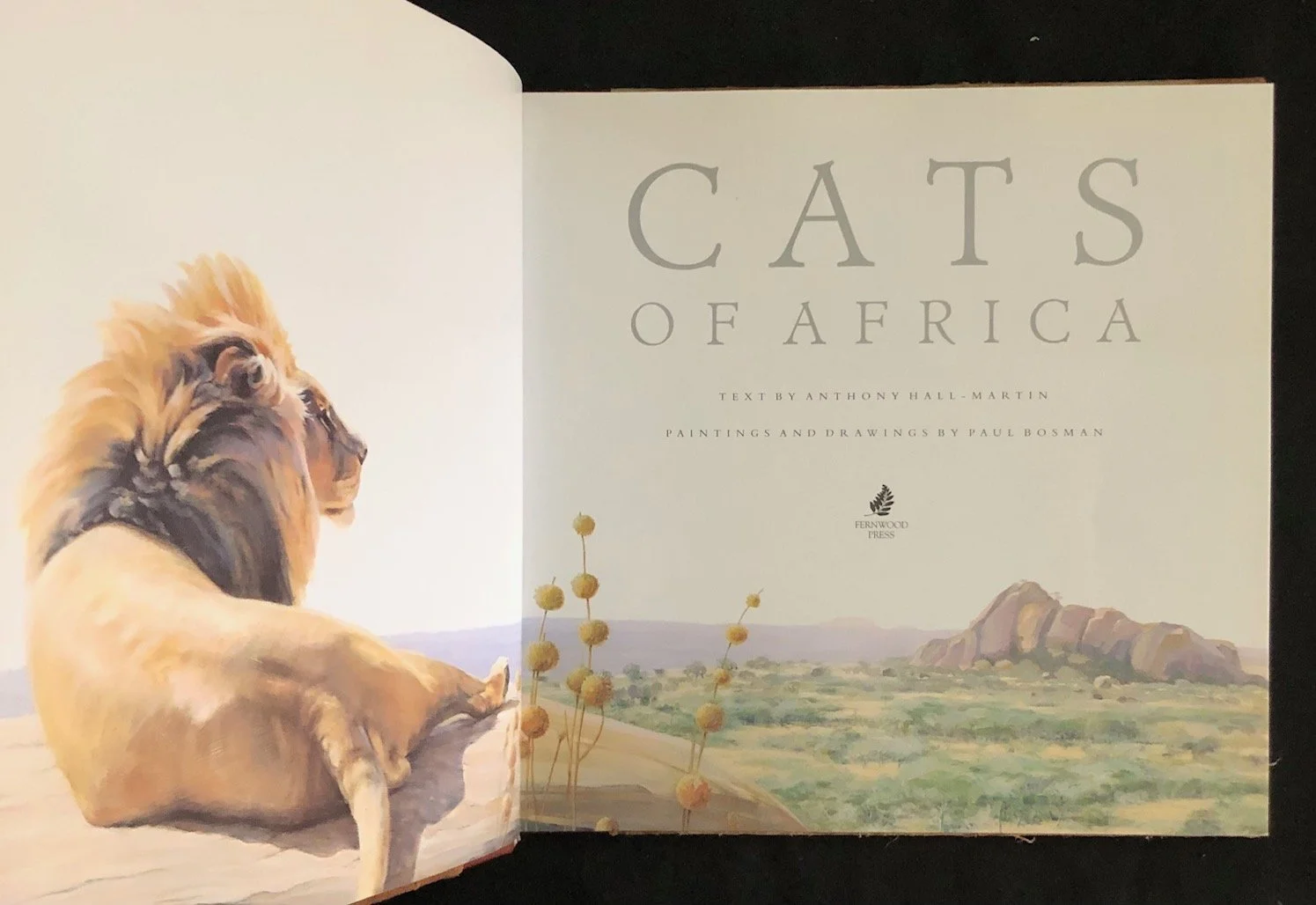 A deluxe edition of Cats by Dr. Anthony Hall-Martin (1997)