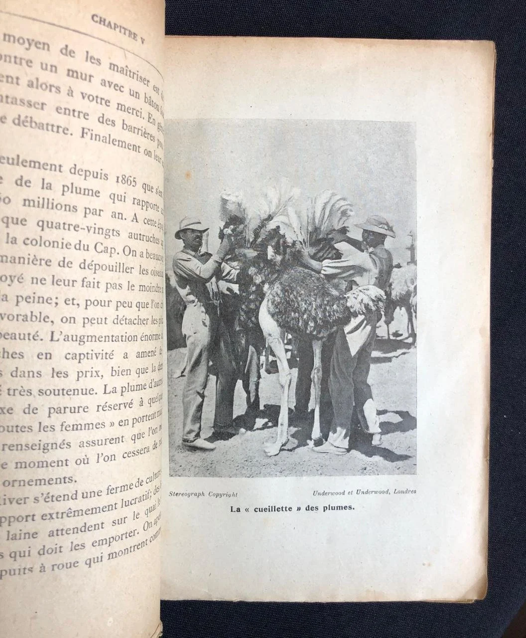 Aux pays de l'or et des diamants (c.1905) 6.jpeg