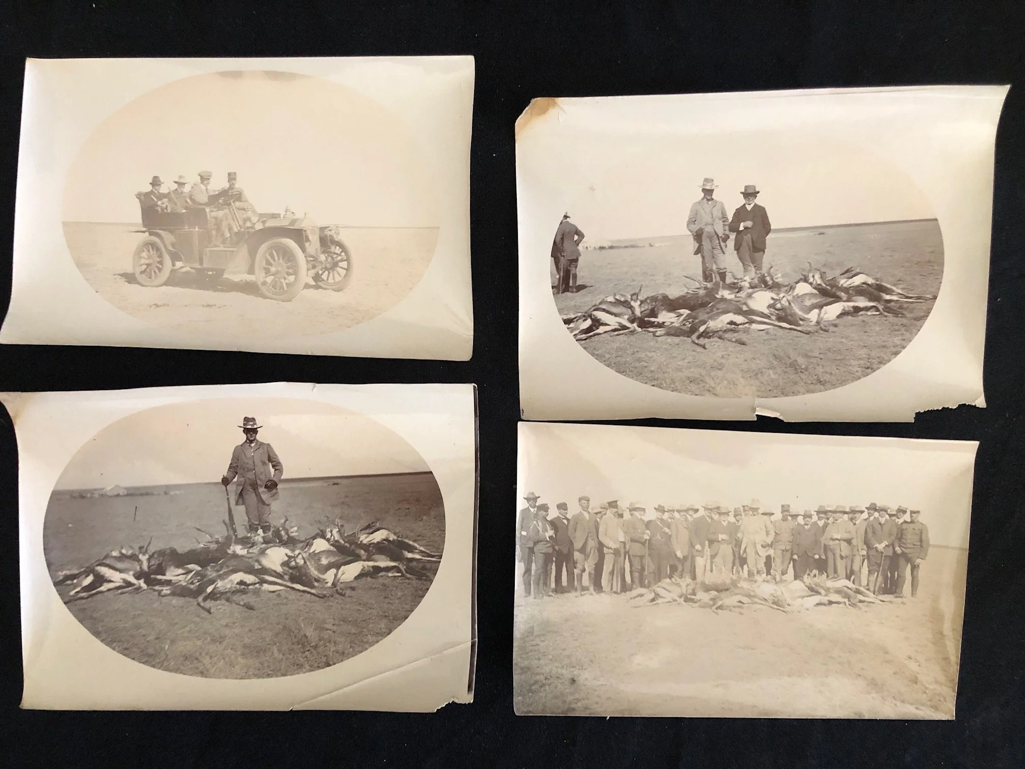 Hunting Party of Dom Luís Filipe, Prince Royal of Portugal. Southern Africa. 1907 7.jpg
