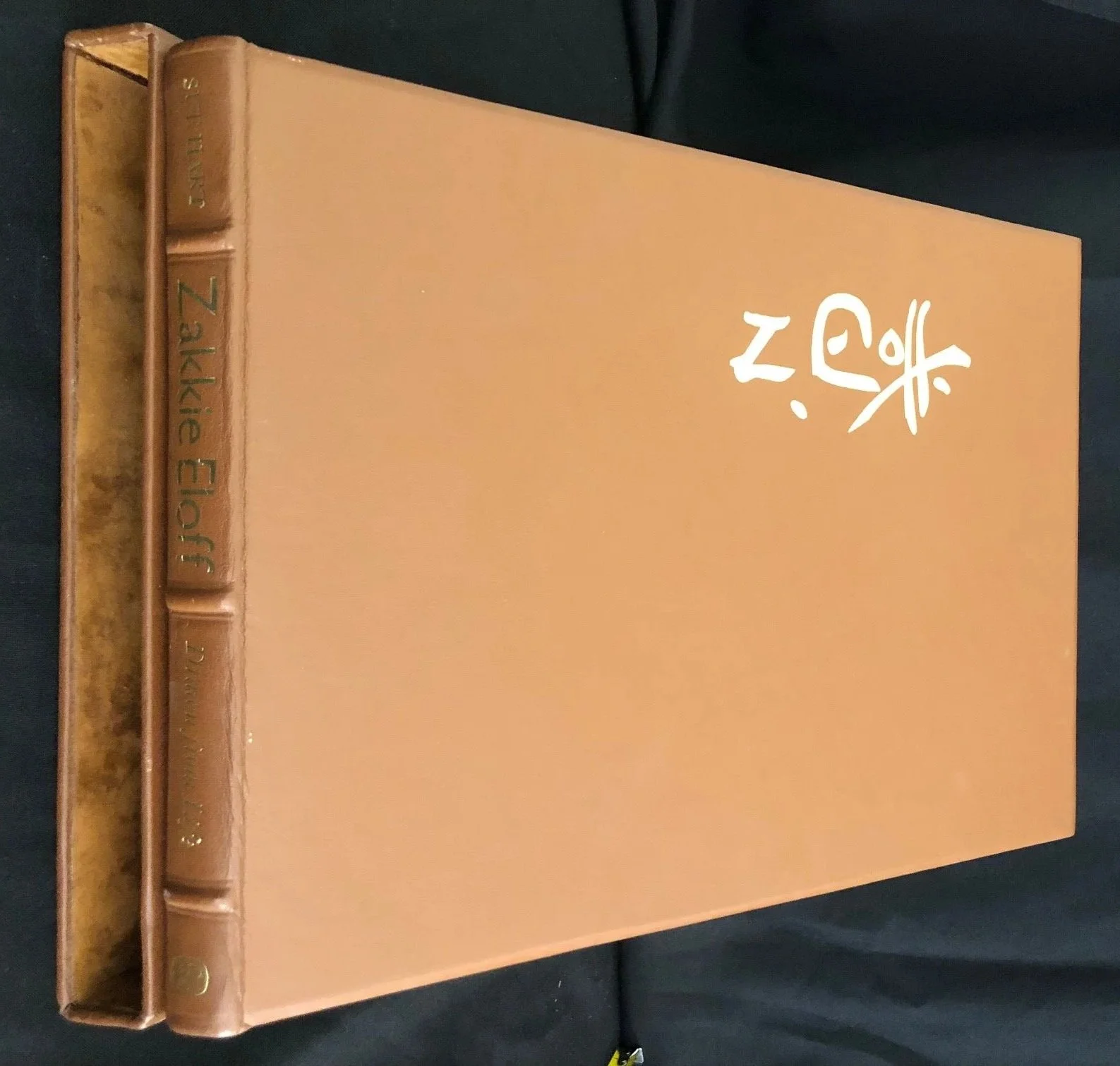 Drawn from Life (Zakkie Elof) 2.jpg