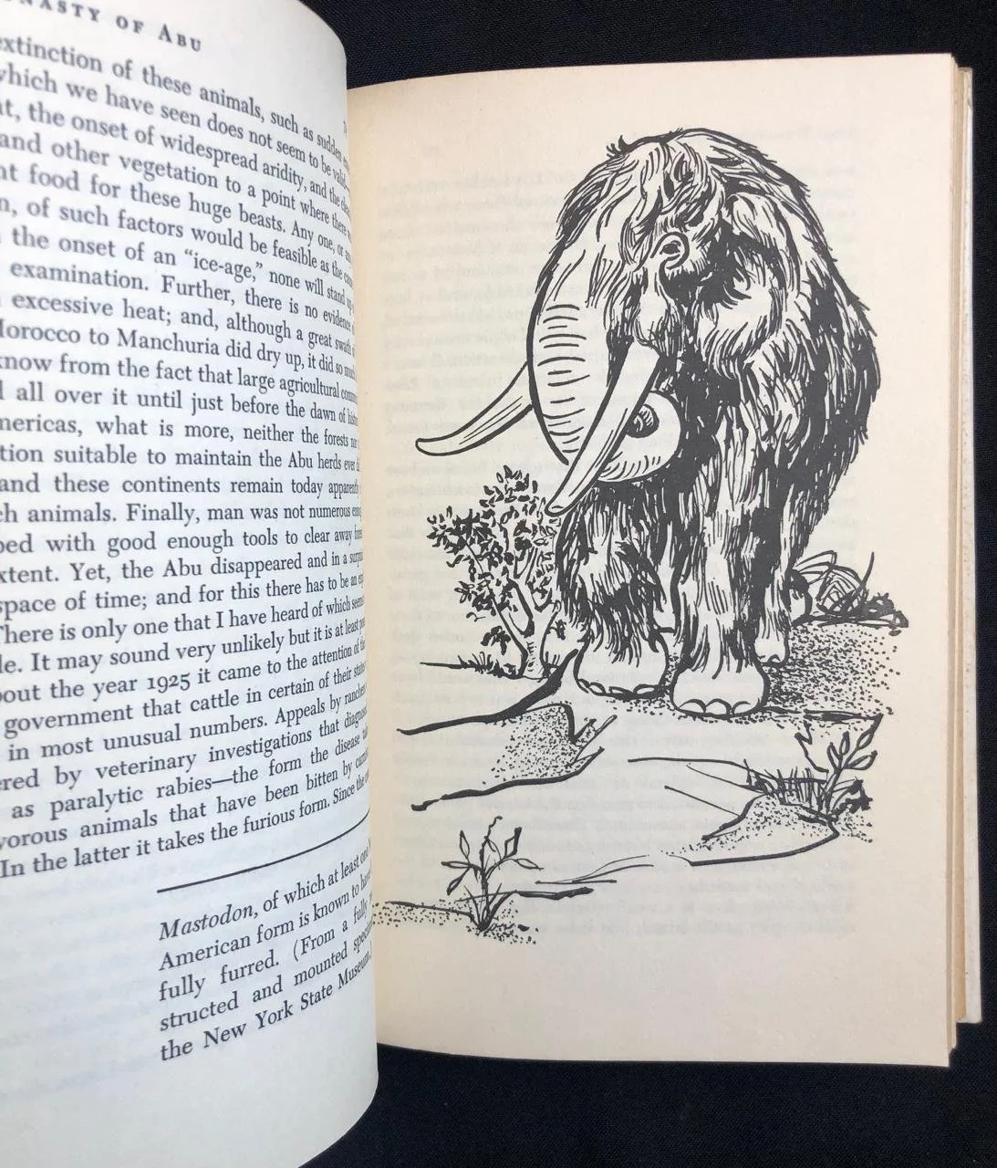 The Dynasty of Abu (1963) 6.jpeg