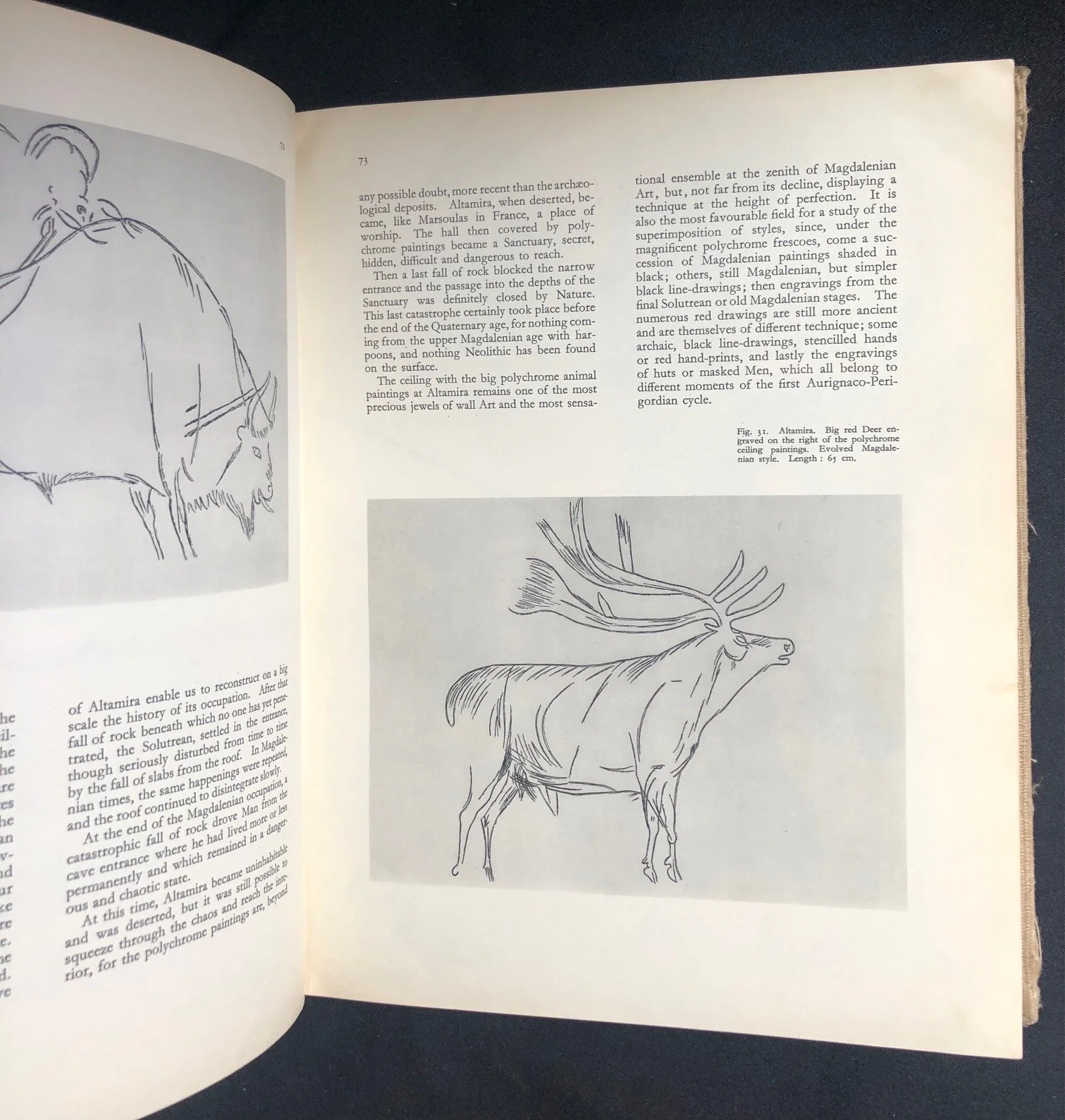 Four Hundred Centuries of Cave Art 9.jpg