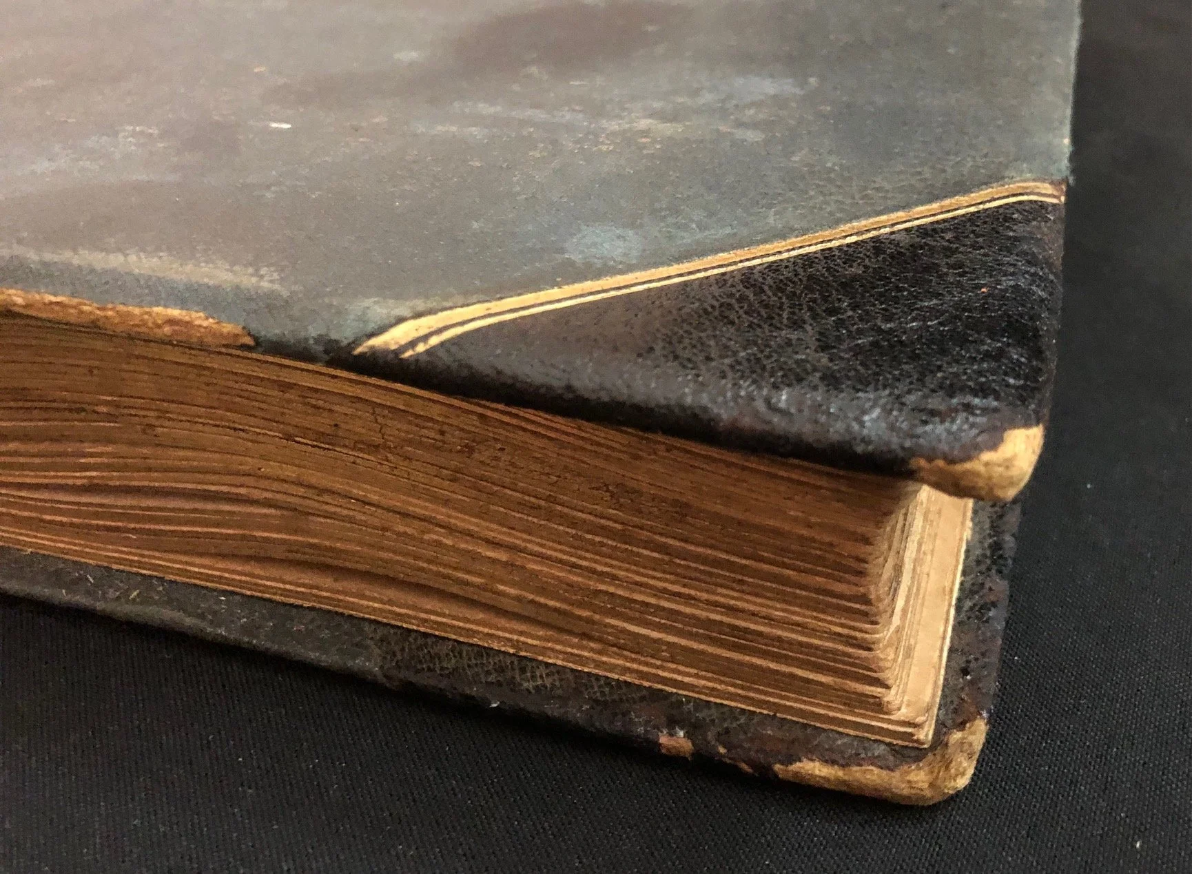 Photograph Album featuring New South Wales, Australia. c.1895