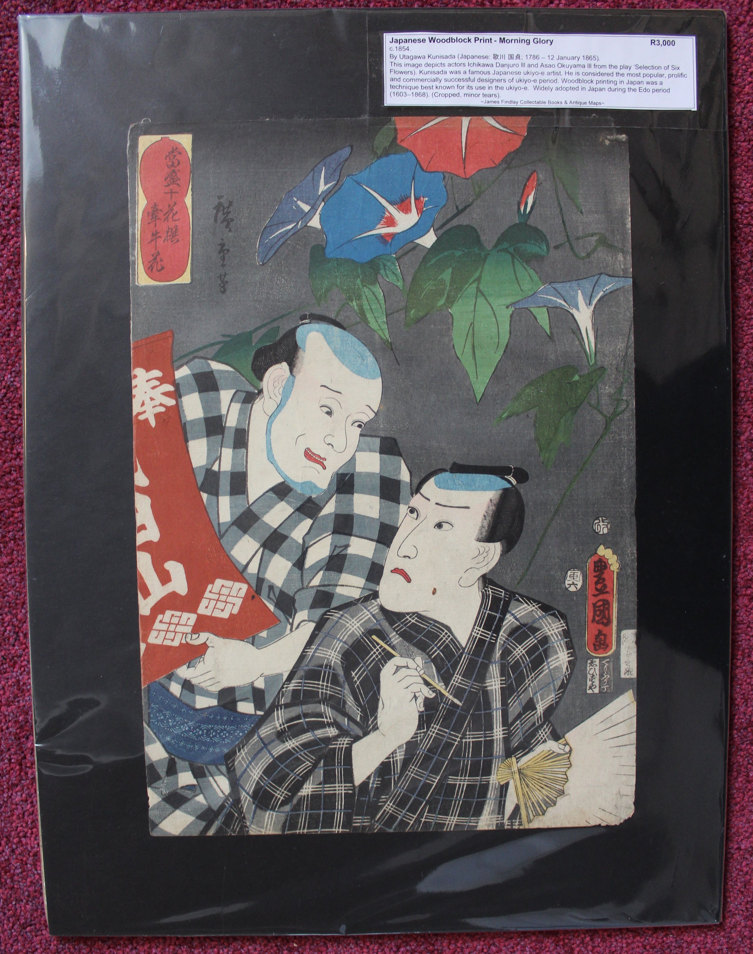 Morning Glory, Japanese Woodblock Print (c.1854)