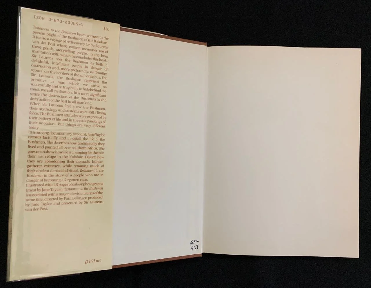 Testament to the Bushmen 3.jpeg