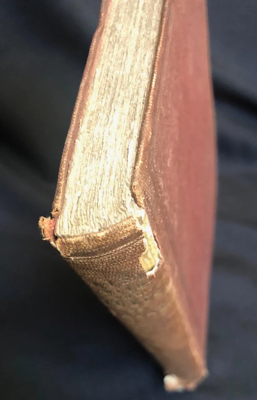 With the Zulus of Natal (1855)