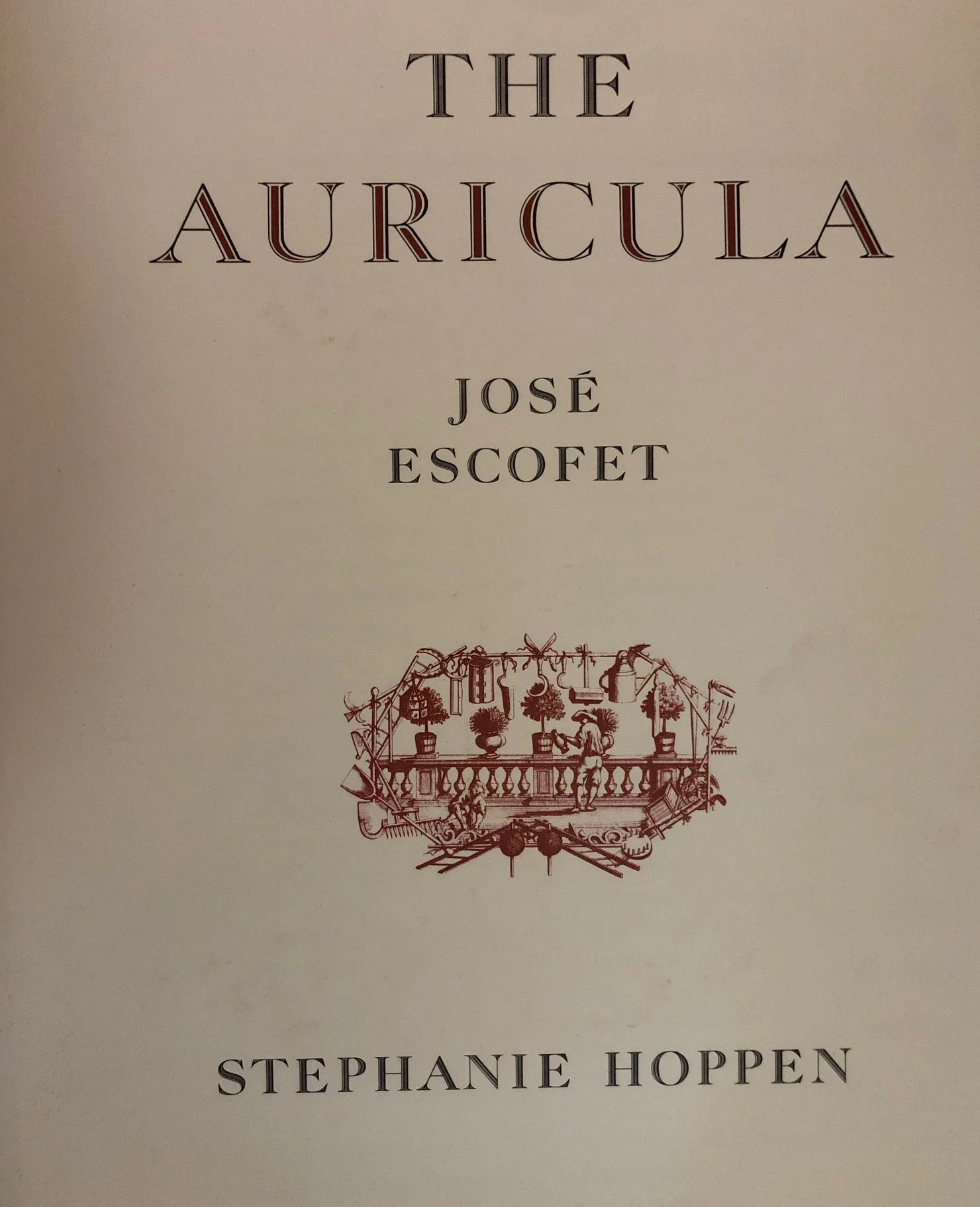 The Auricula by Stephanie Hoppen 1990  3.jpg