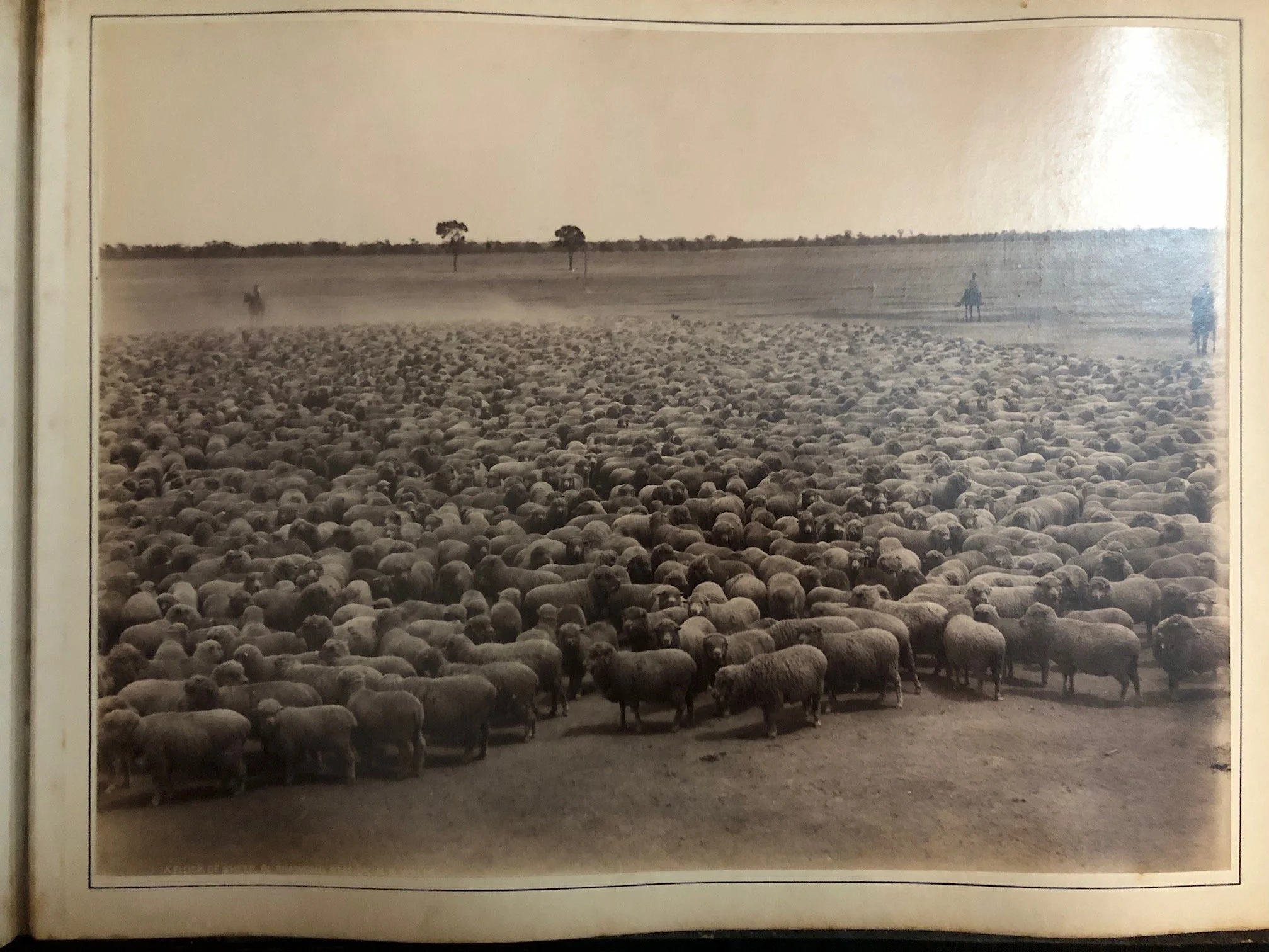 Photograph Album featuring New South Wales, Australia. c.1895