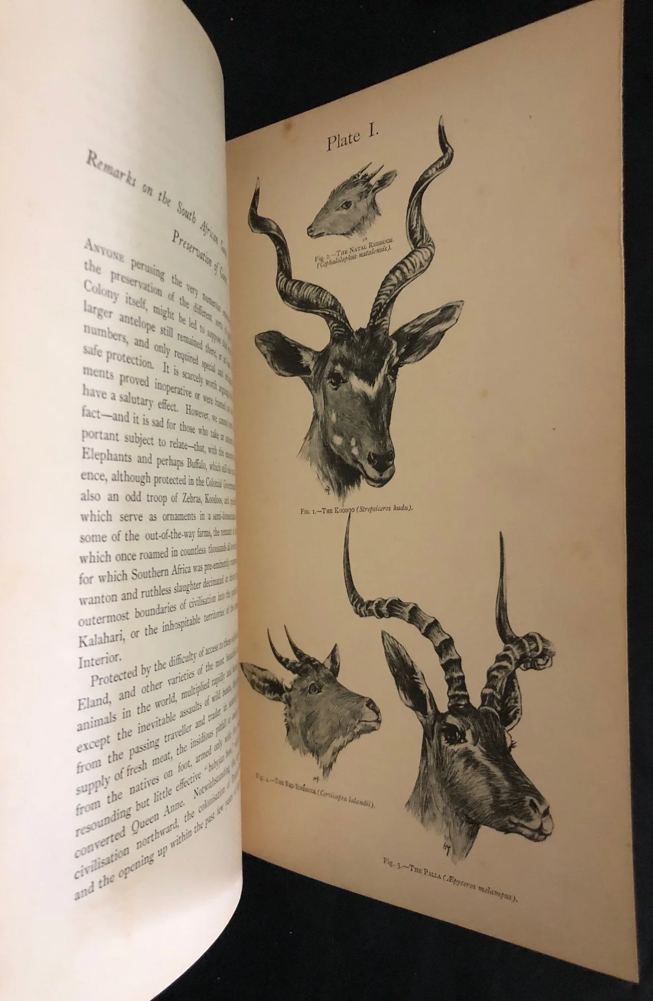 The Sportsman in South Africa by James A. Nicolls and William Eglington (1892)