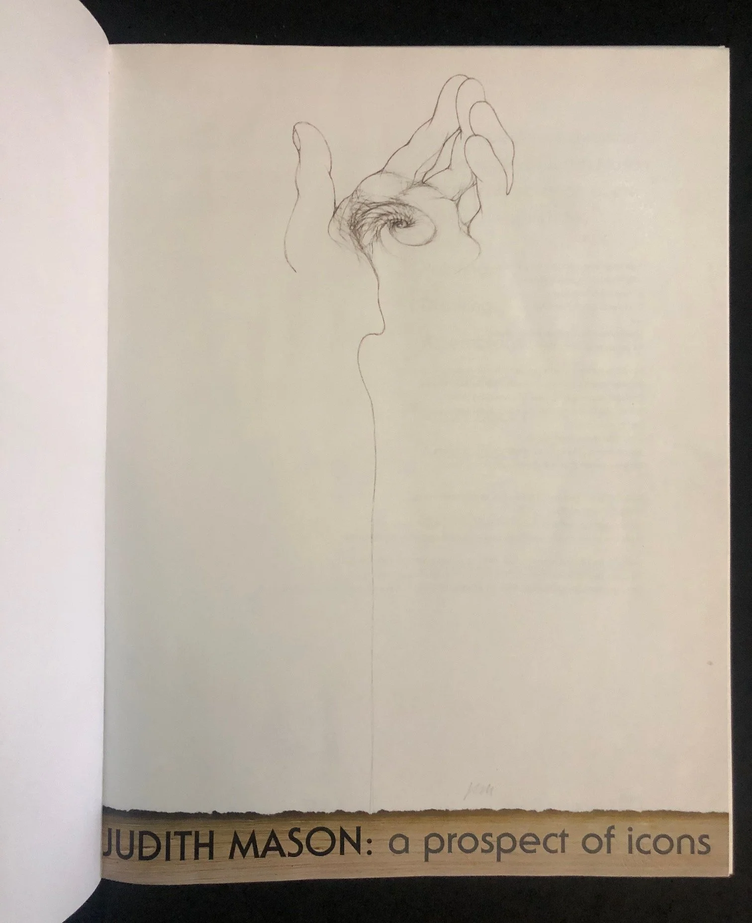 Judith Mason: A Prospect of Icons. 2009. Inscribed