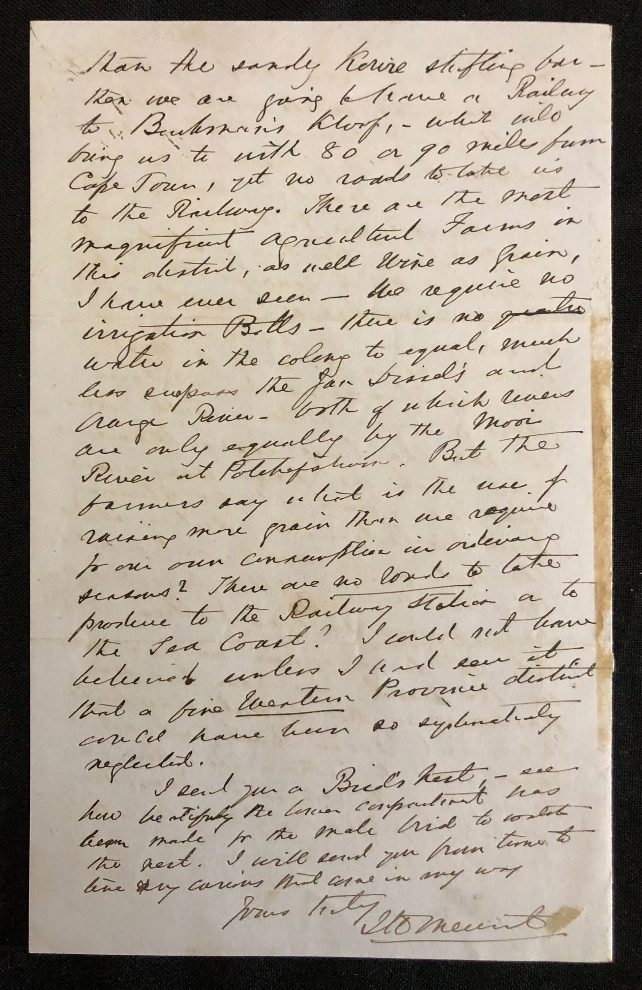 Letter to Charles Aken Fairbridge Regarding Dutch (Afrikaans) an official language in 1875