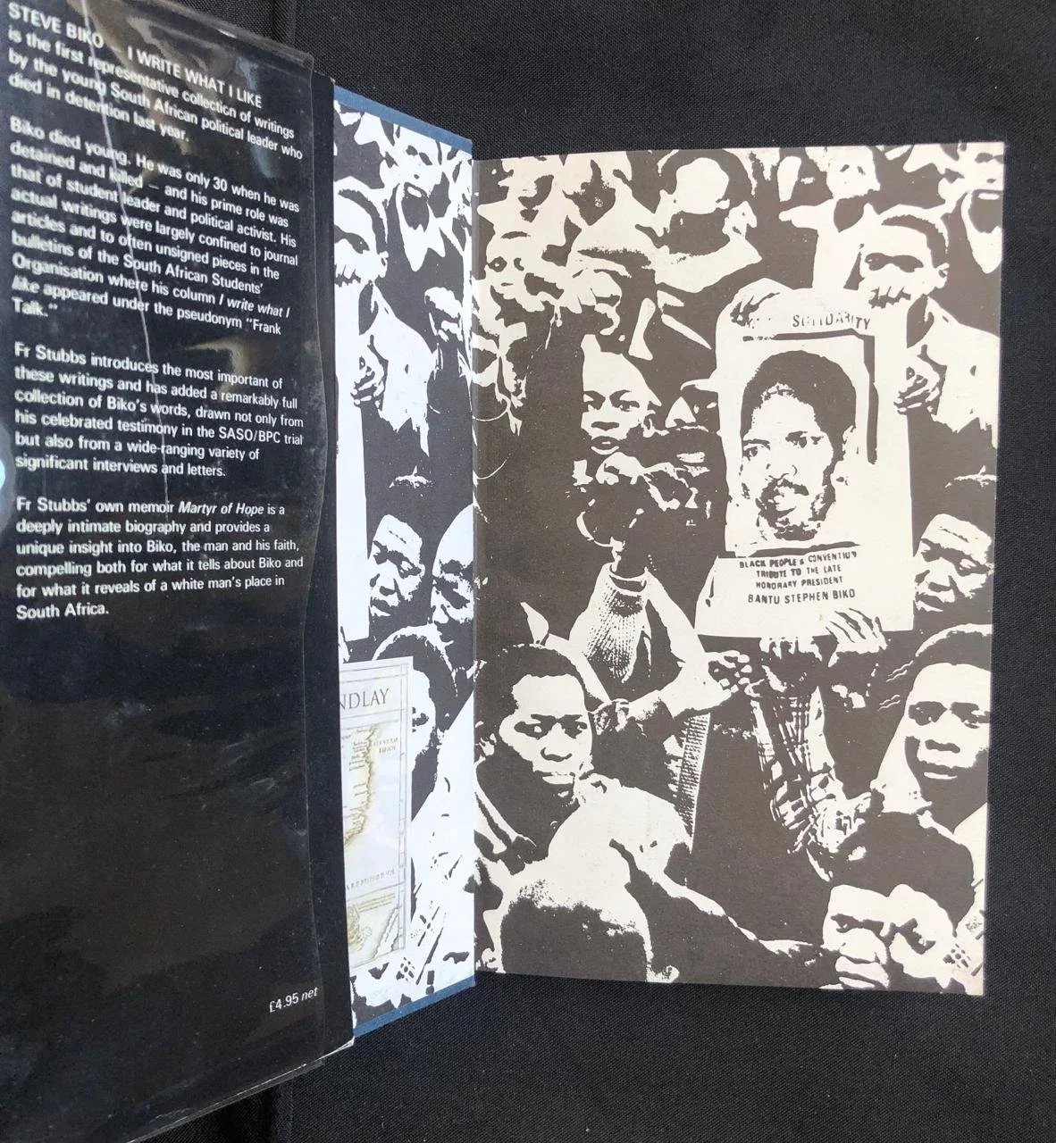 Steve Biko I write what I like 2.jpeg