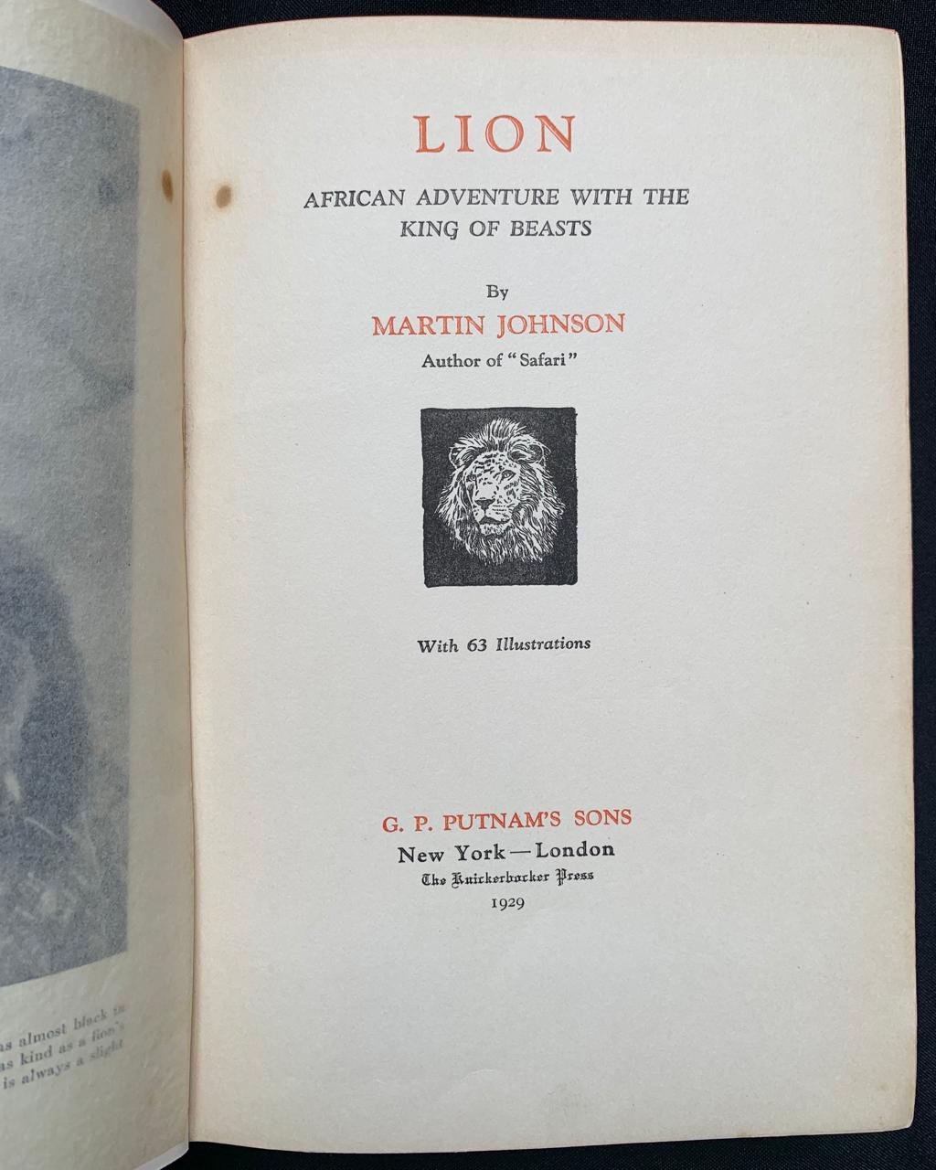 Lion (1929) 7.jpeg