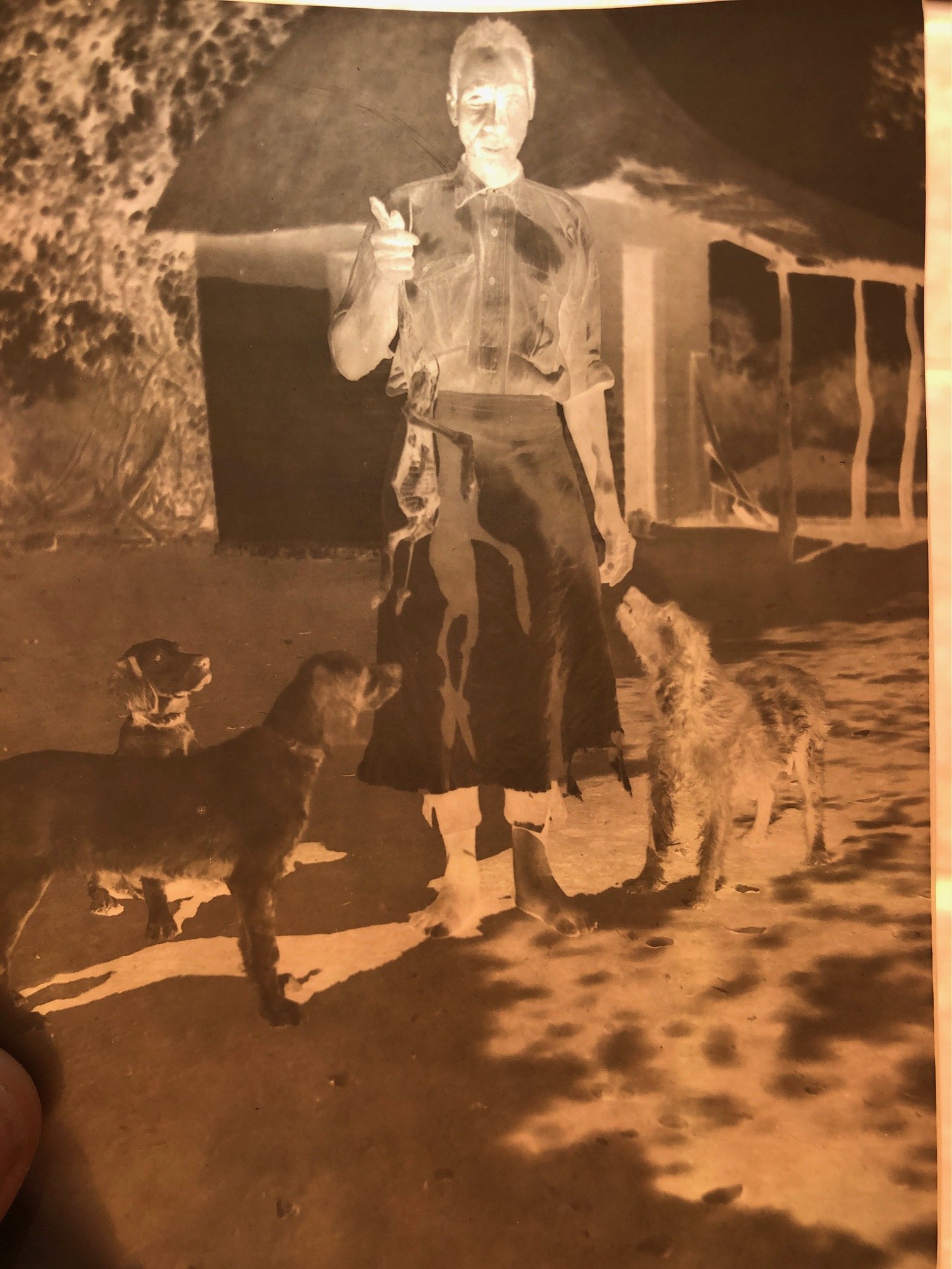 Eight By Vintage Negatives Relating to Hunting