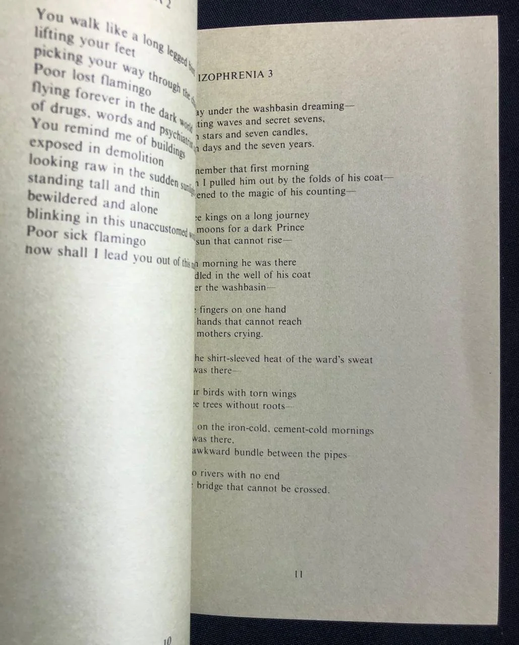 From Breakfast to Madness (1974) 6.jpeg