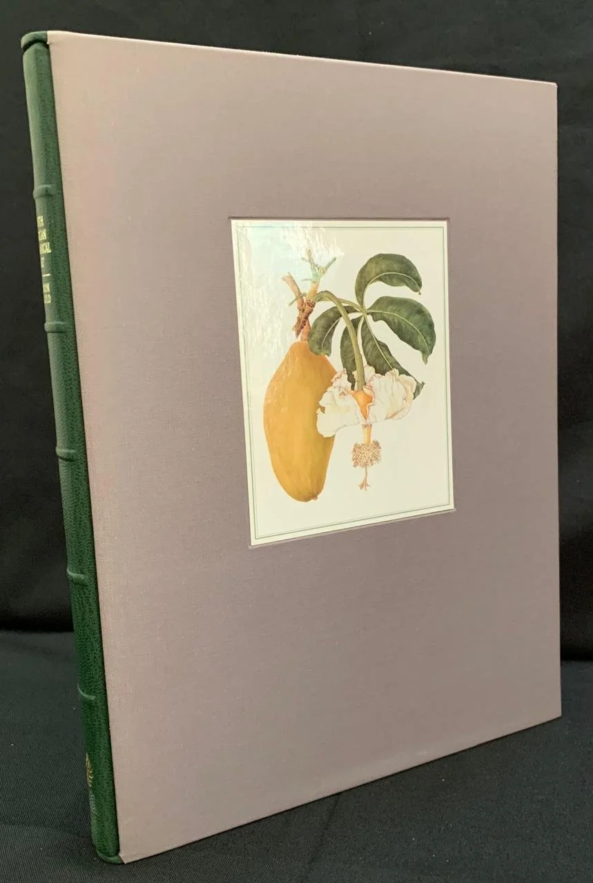South African Botanical Art by Marion Arnold (2001)