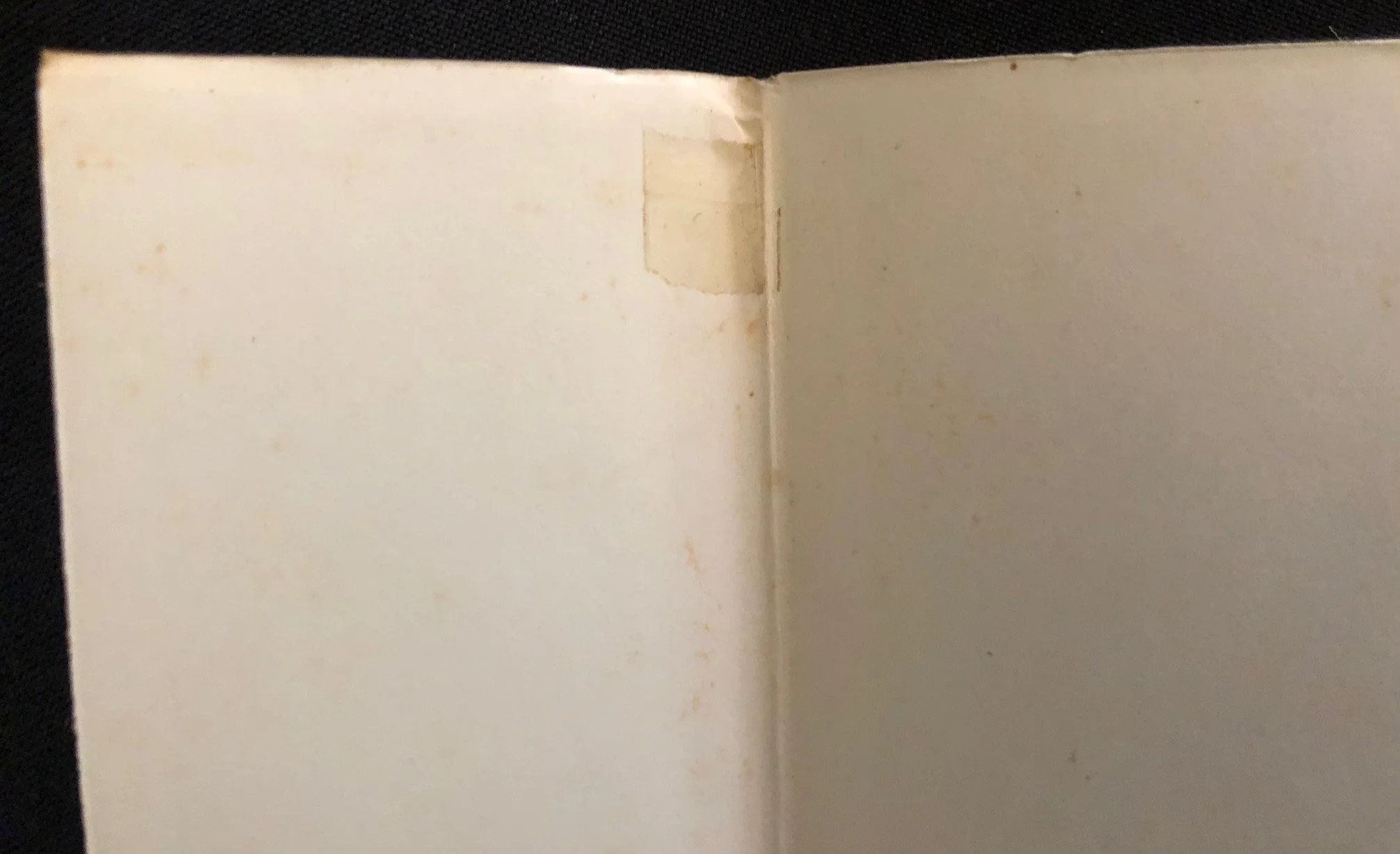 Five First Edition Breytenbach 4.jpg