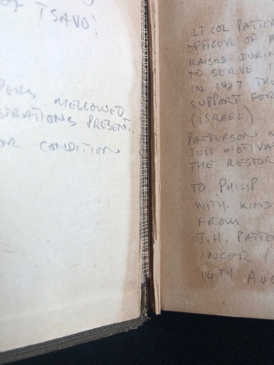 With the Judeans in Palestine 3.jpg