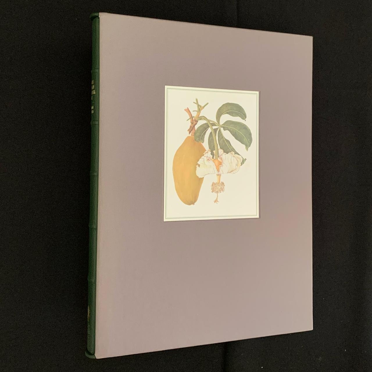 Limited Edition South African Botanical Art by Marion Arnold (2001) R3,500